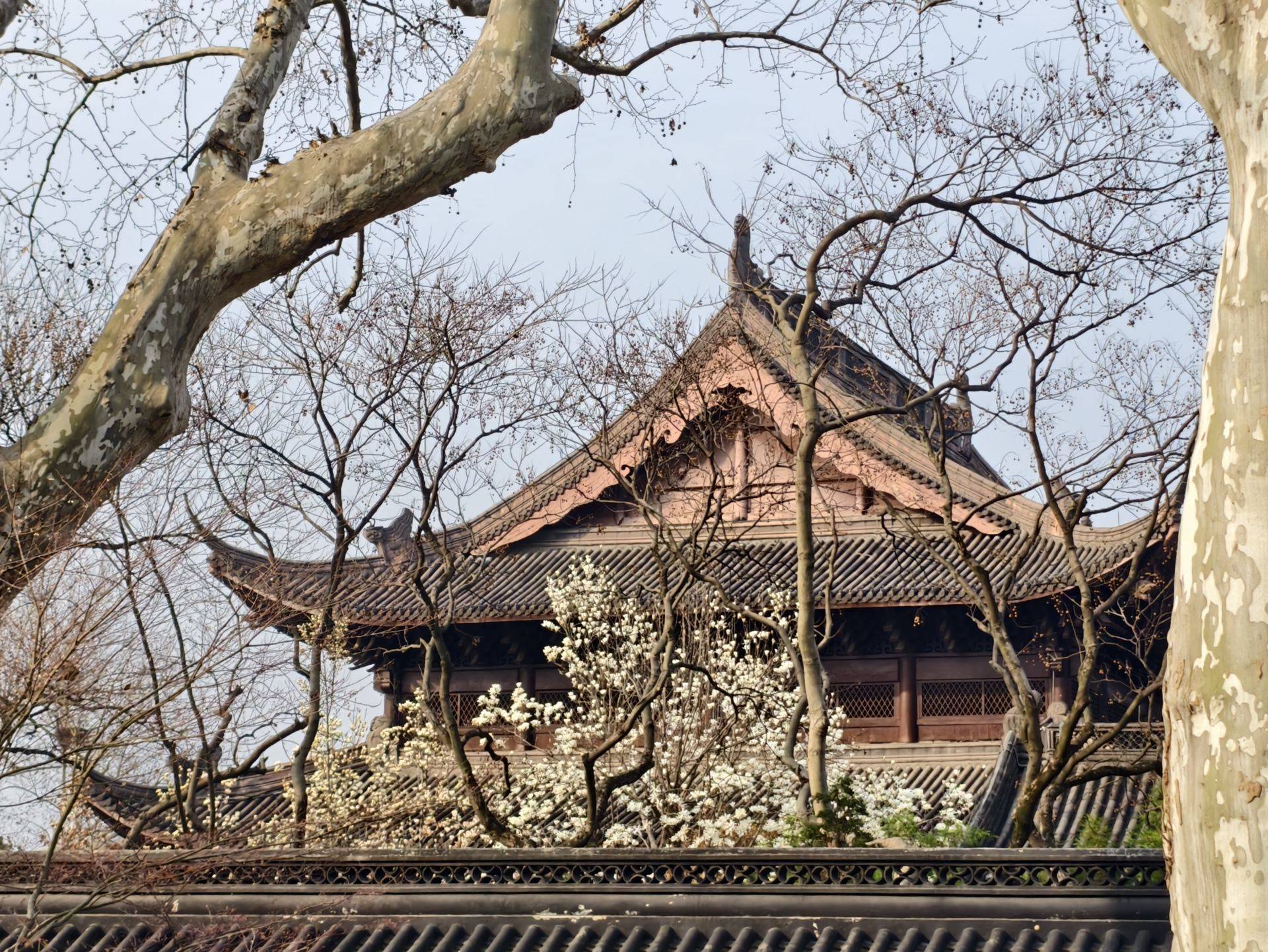 春色撩人
​昆虫的小触须挠着全世界的痒_2