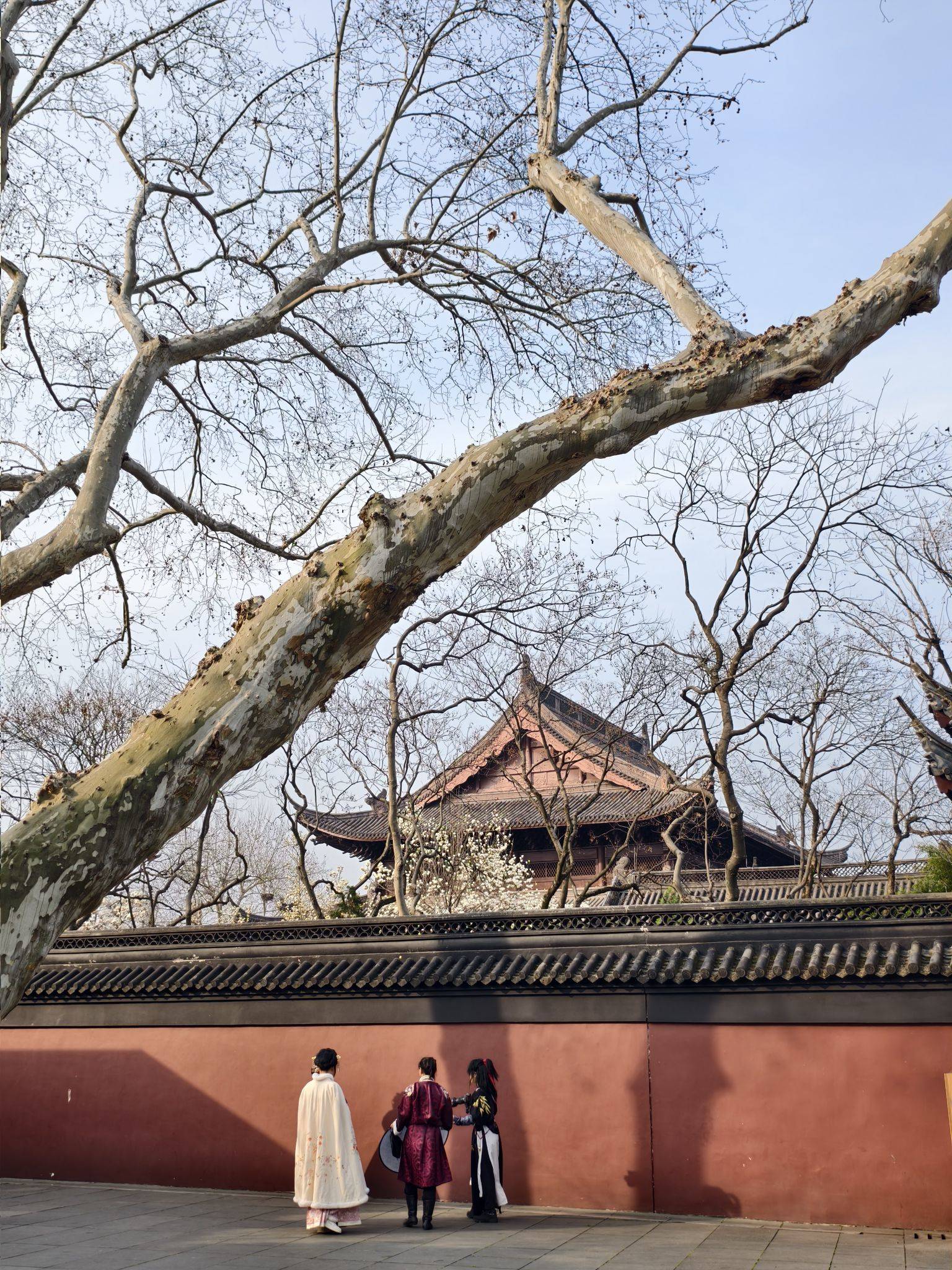 春色撩人
​昆虫的小触须挠着全世界的痒_1