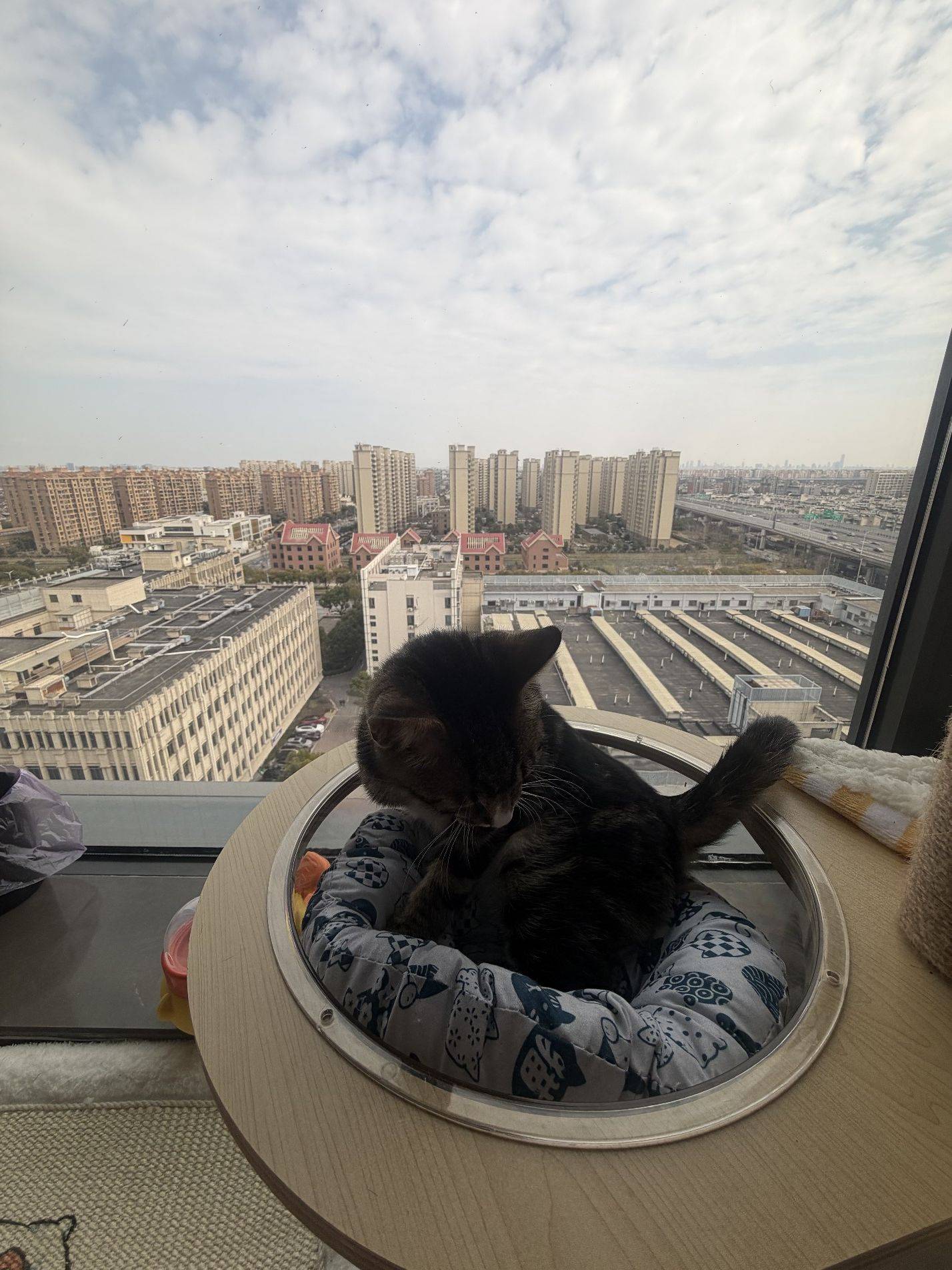 小猫咪的顶层大平层落地窗豪宅🐈_1