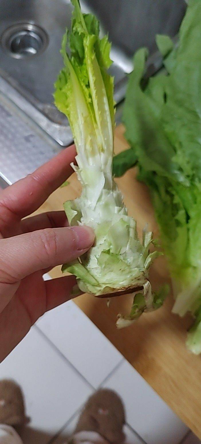 有房找女室友，北京顺义国展地铁附近