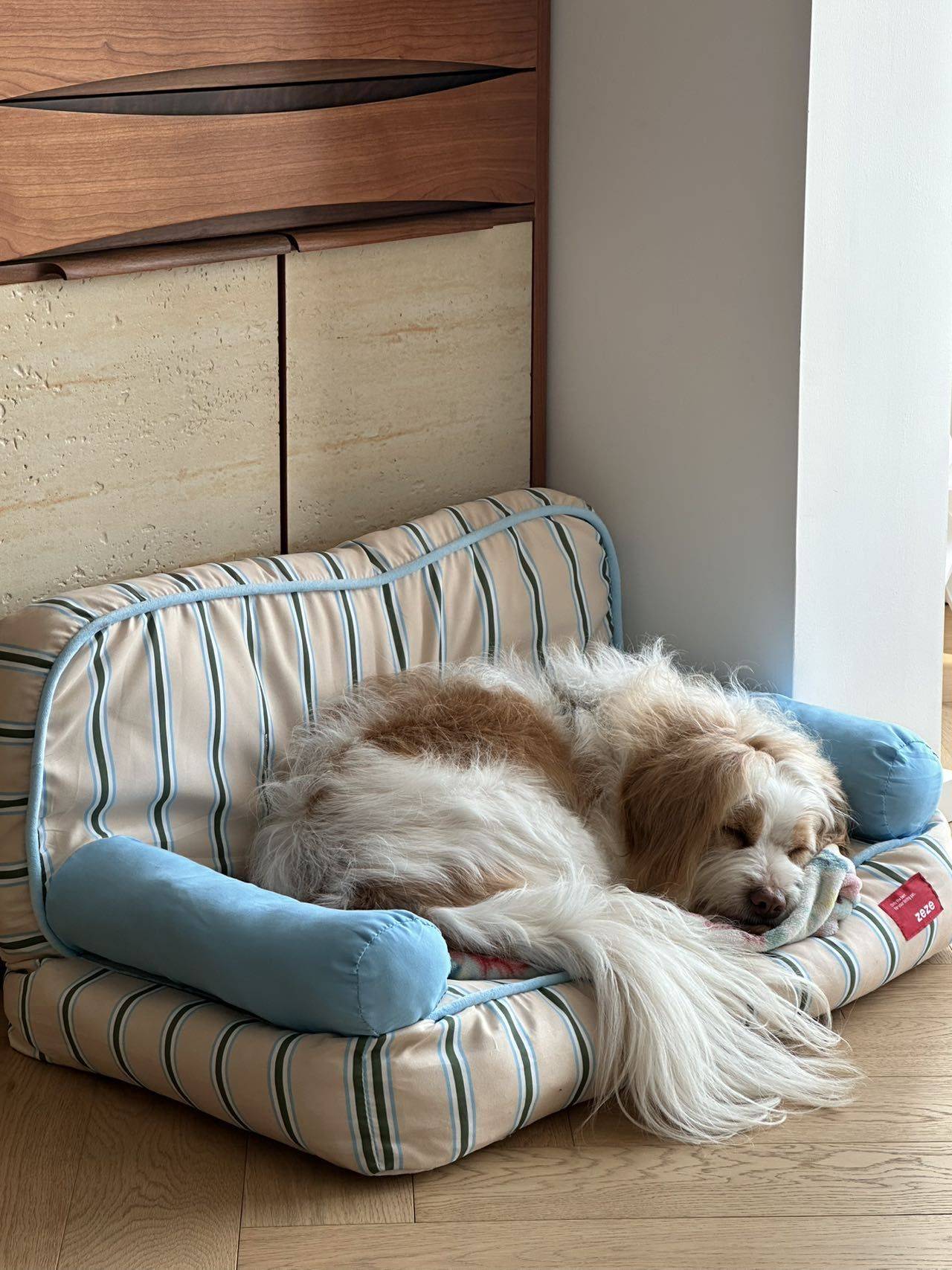 家里超爱的角落_1