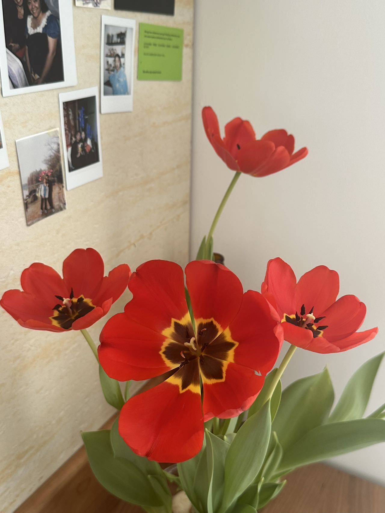 我可太爱我的小露台了！_2