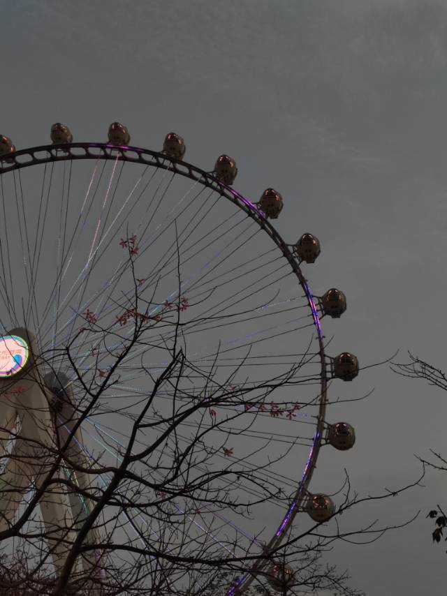 欢乐港湾吹风ing