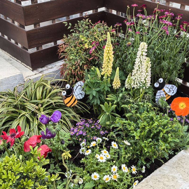 我可太爱我的小露台了!