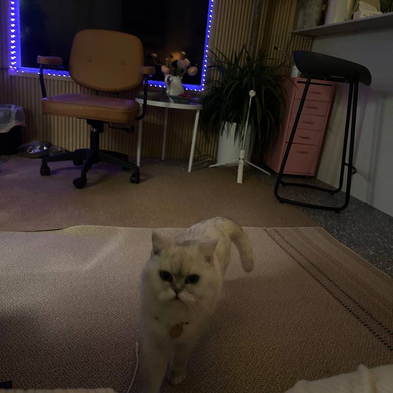 这里原本是个平平无奇的老洋房,但我们想把_4