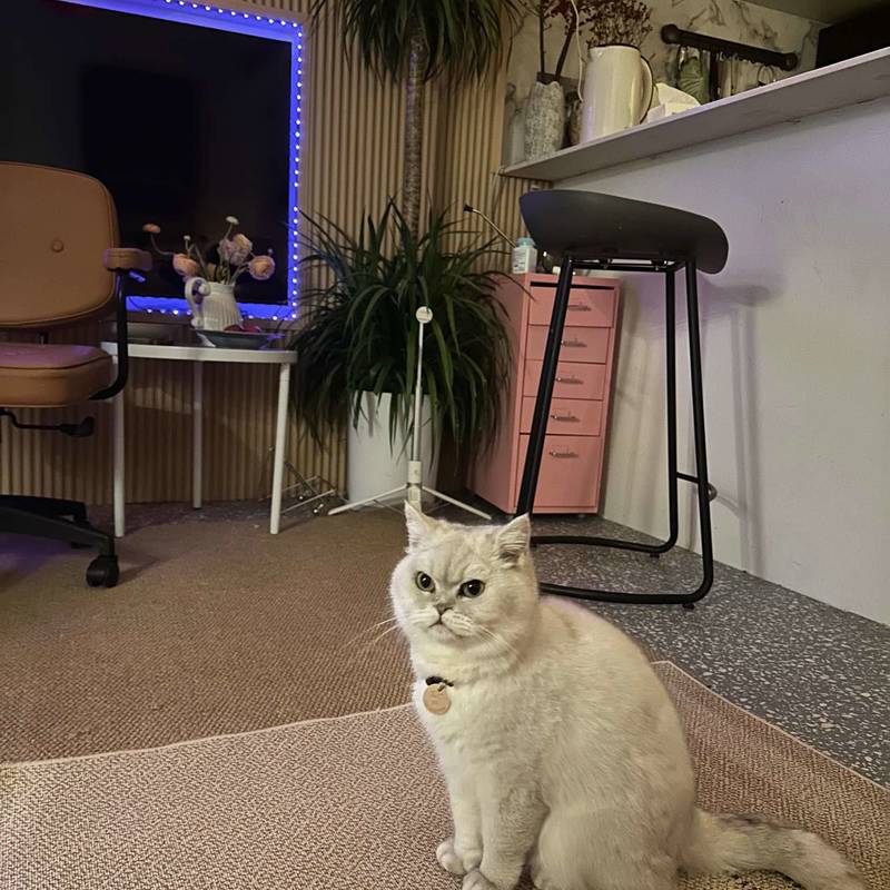 这里原本是个平平无奇的老洋房,但我们想把_3