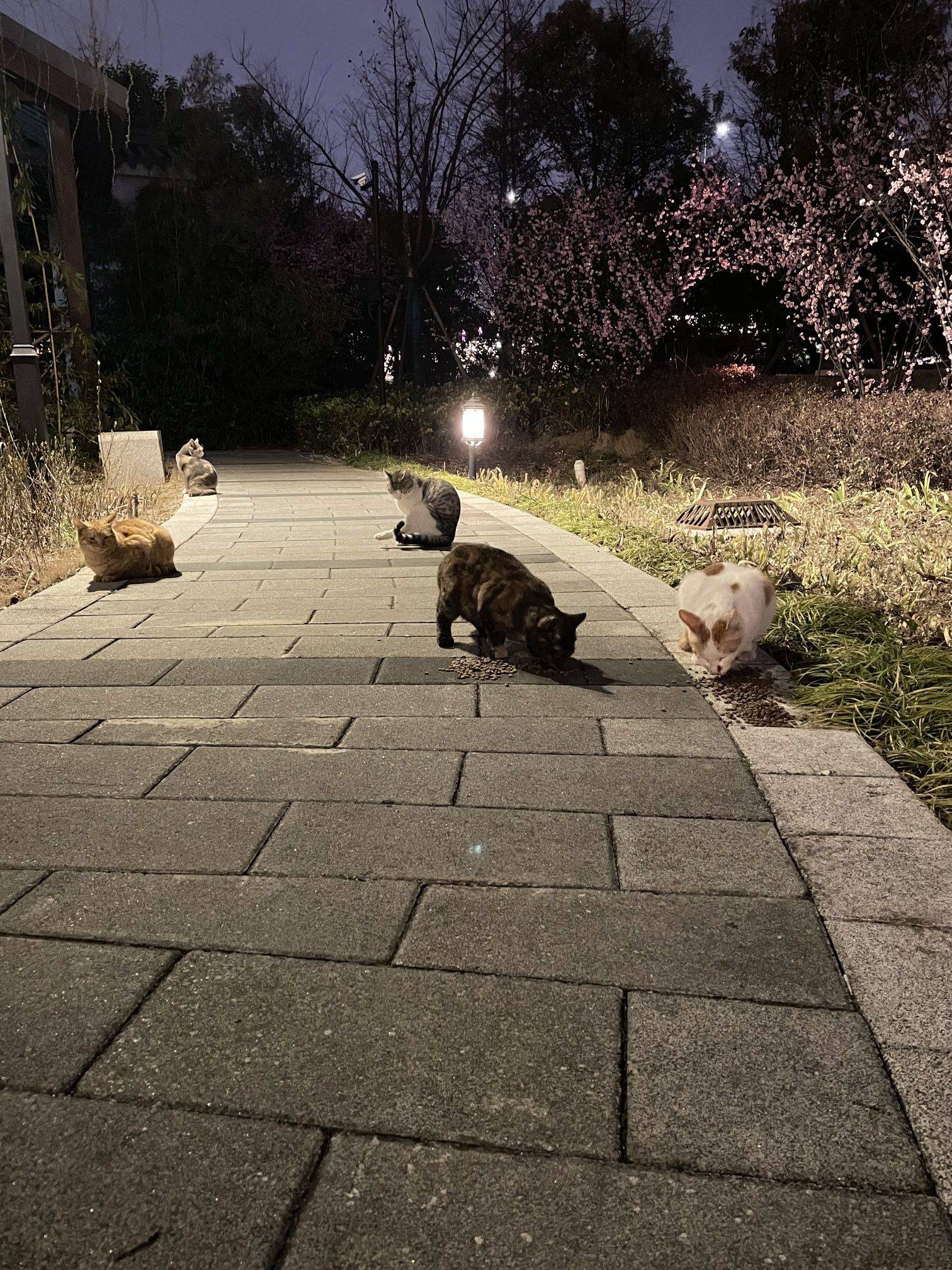 路过就给他们带点吃的