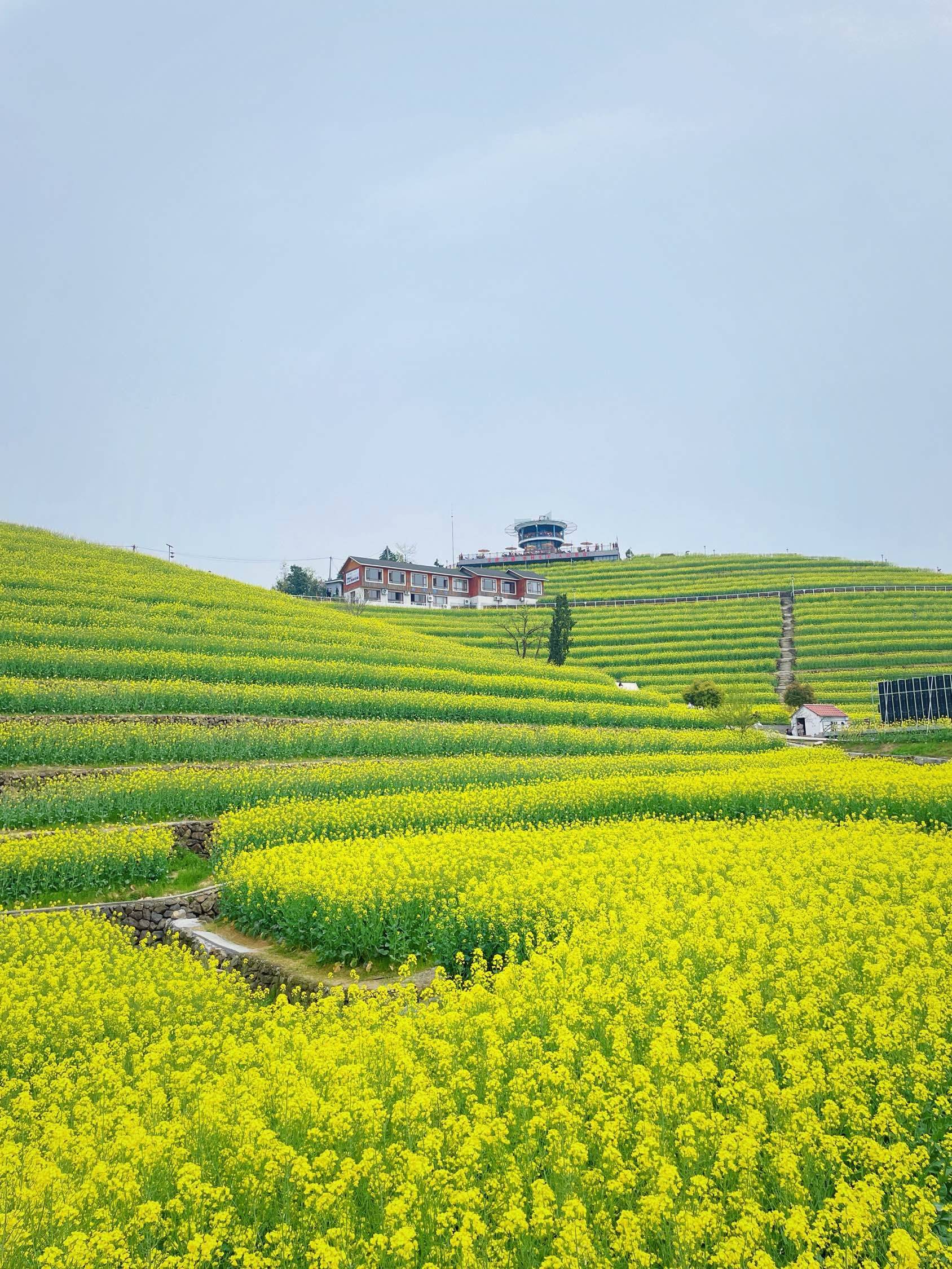 随时入住 | 上海长宁中山公园找室友
