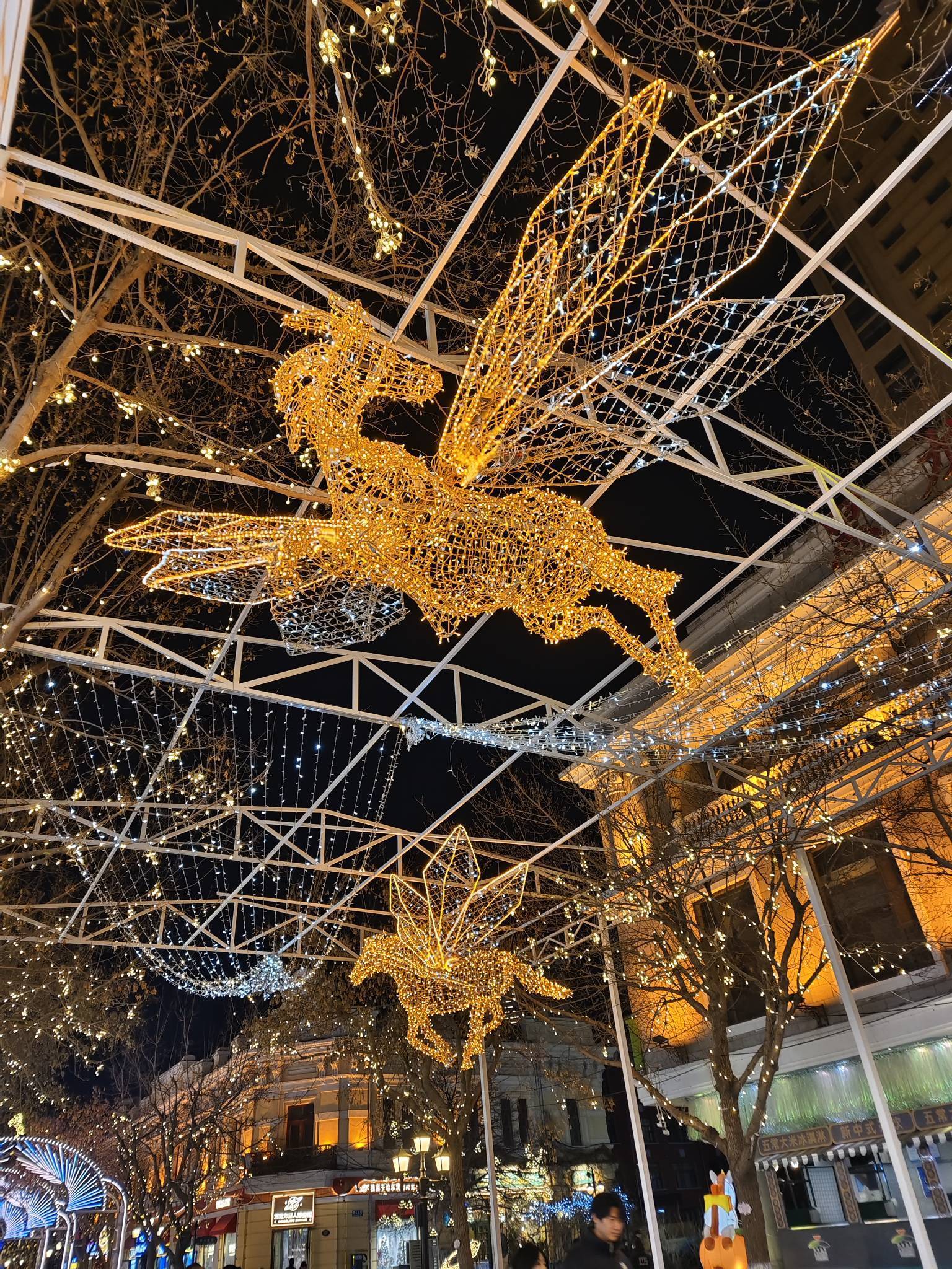 中央大街的璀璨小马太可爱啦+看展览