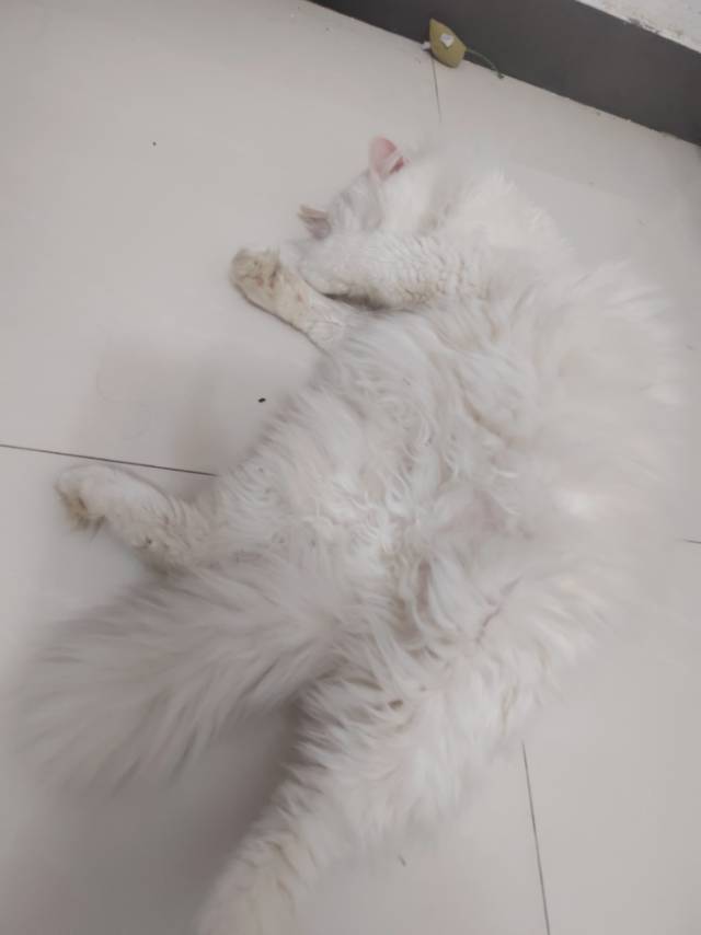 睡觉姿势大赏_1