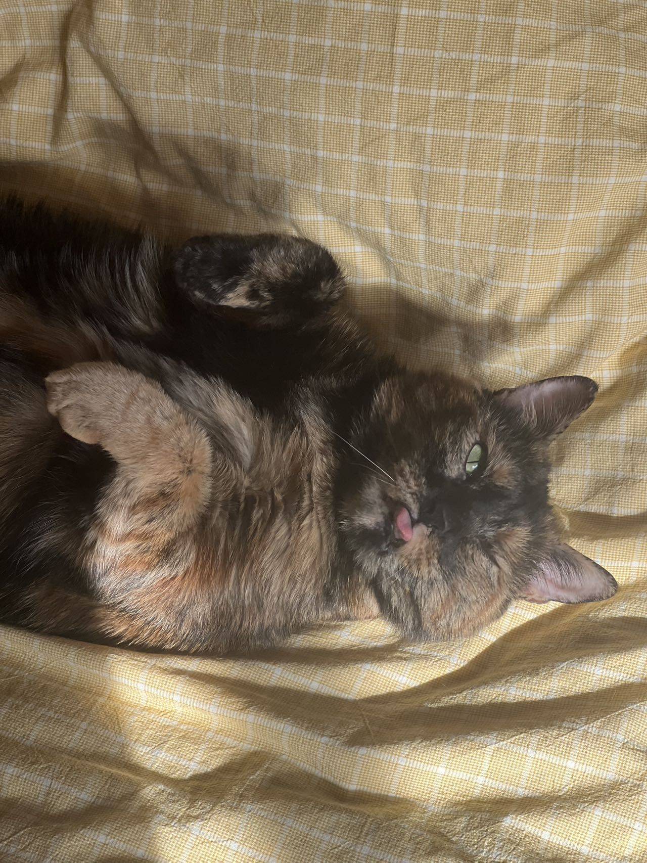 宝宝你是一条赖皮蛇_3