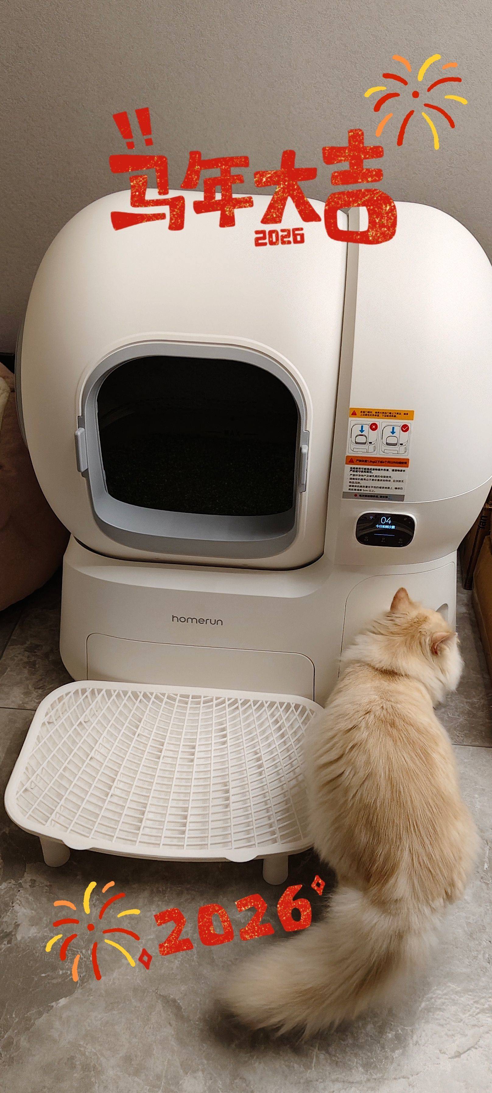 有爱猫的妹妹吗？_1
