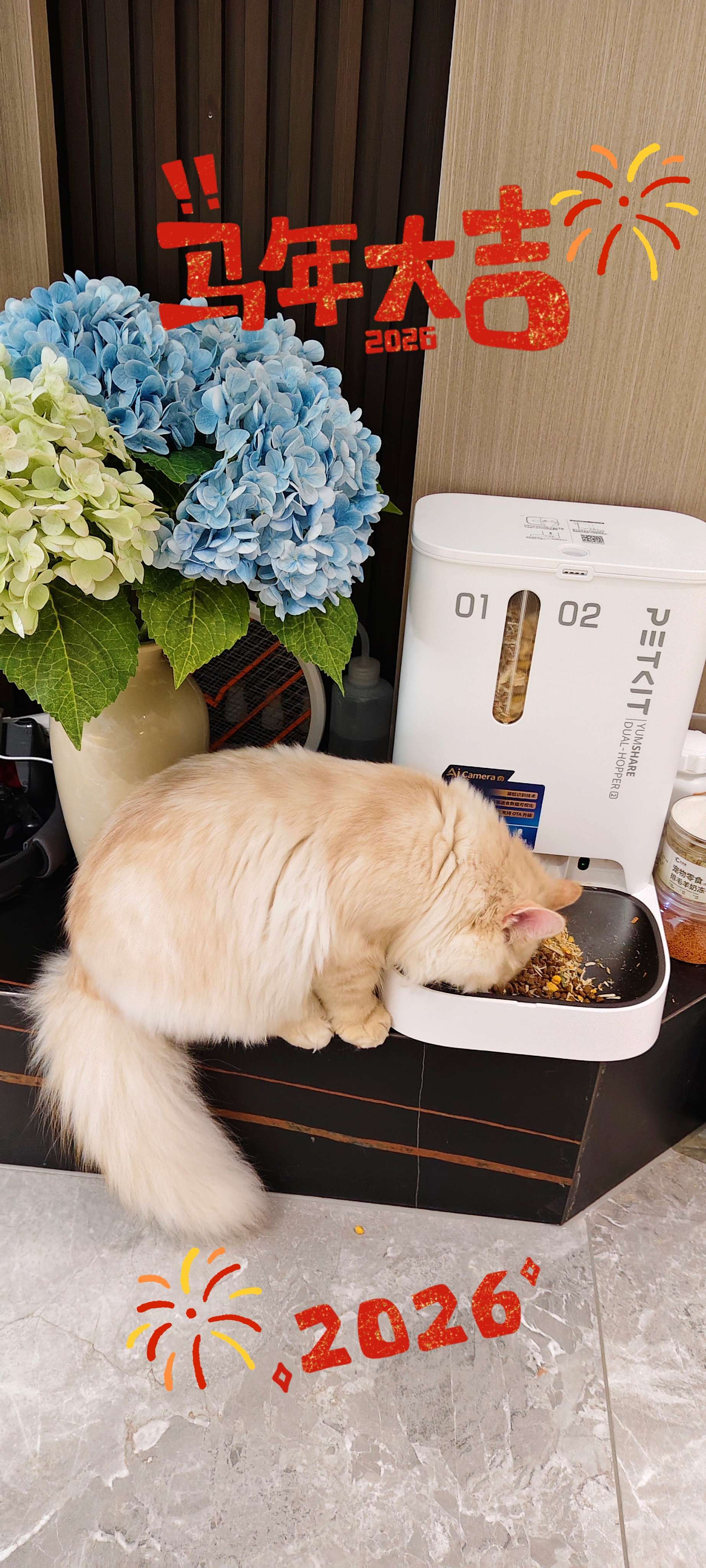 有爱猫的妹妹吗？_2