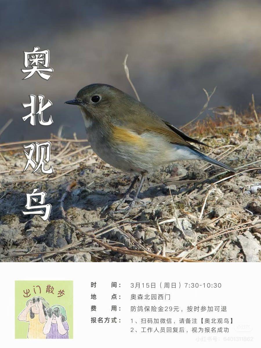 有没有北京的女生周末一起观鸟？