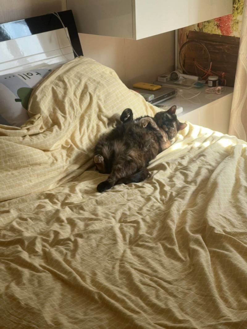 宝宝你是一条赖皮蛇