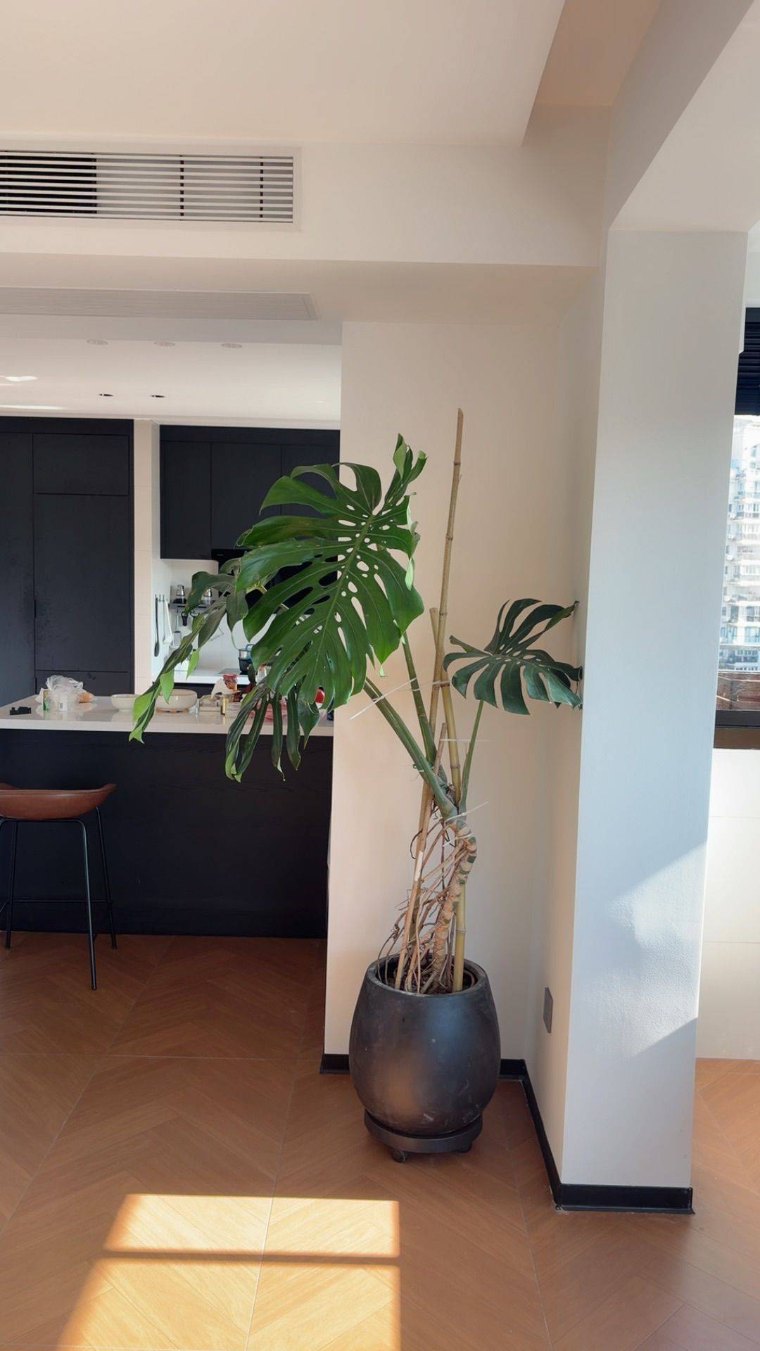 雁湖社区找合租_3