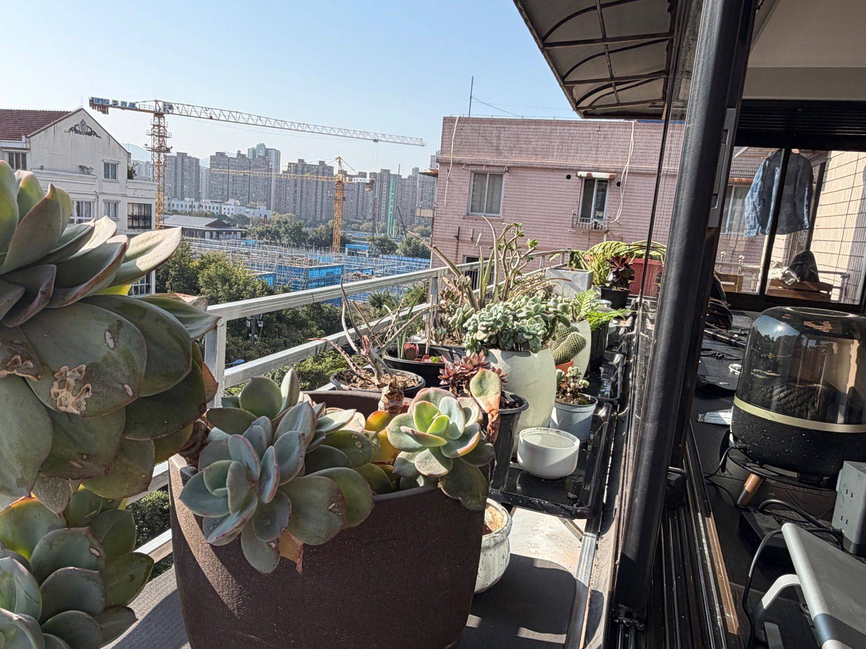 雁湖社区找合租_1