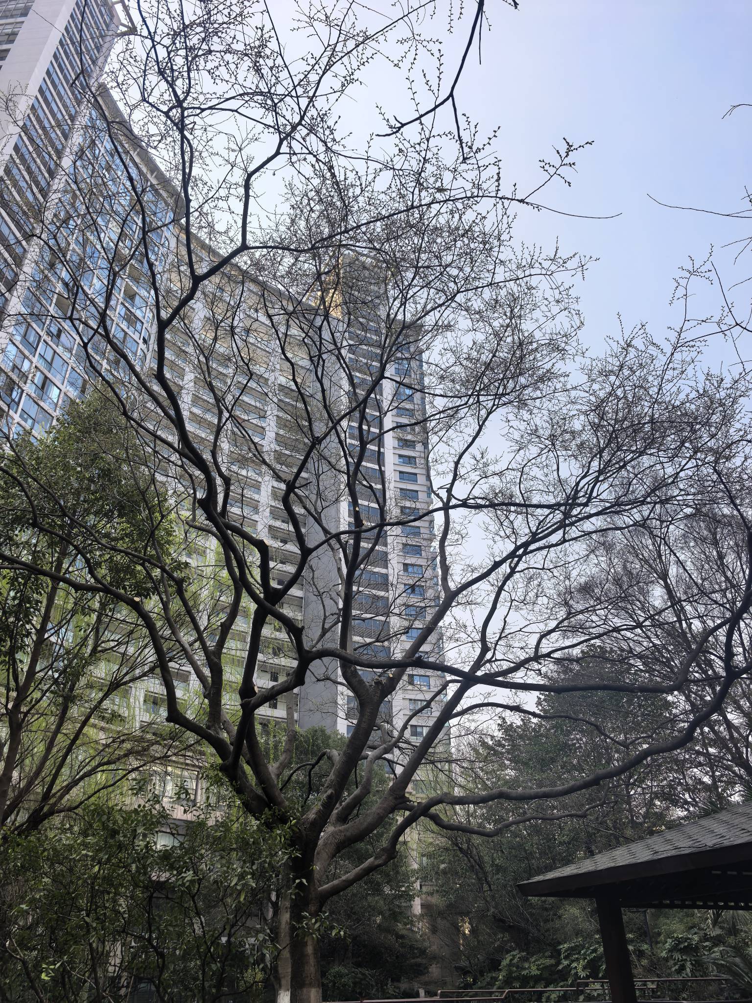 西城博思在线蹲室友  附近，找单间或者