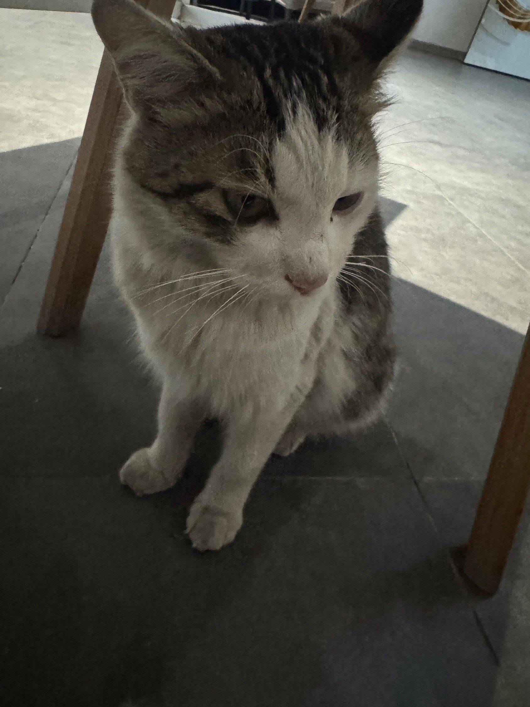 知道自己没脸见人，跑停车场后面睡觉😪 _3