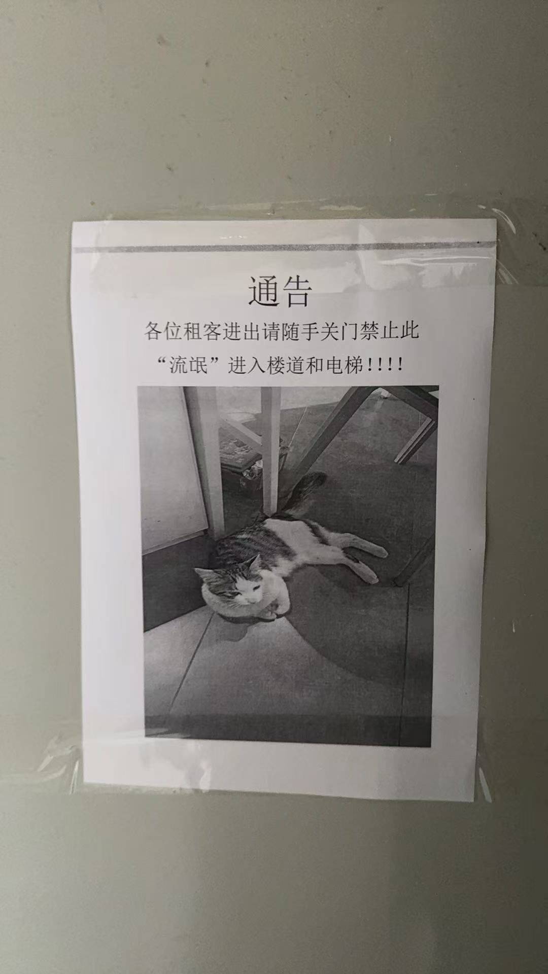 知道自己没脸见人，跑停车场后面睡觉😪 