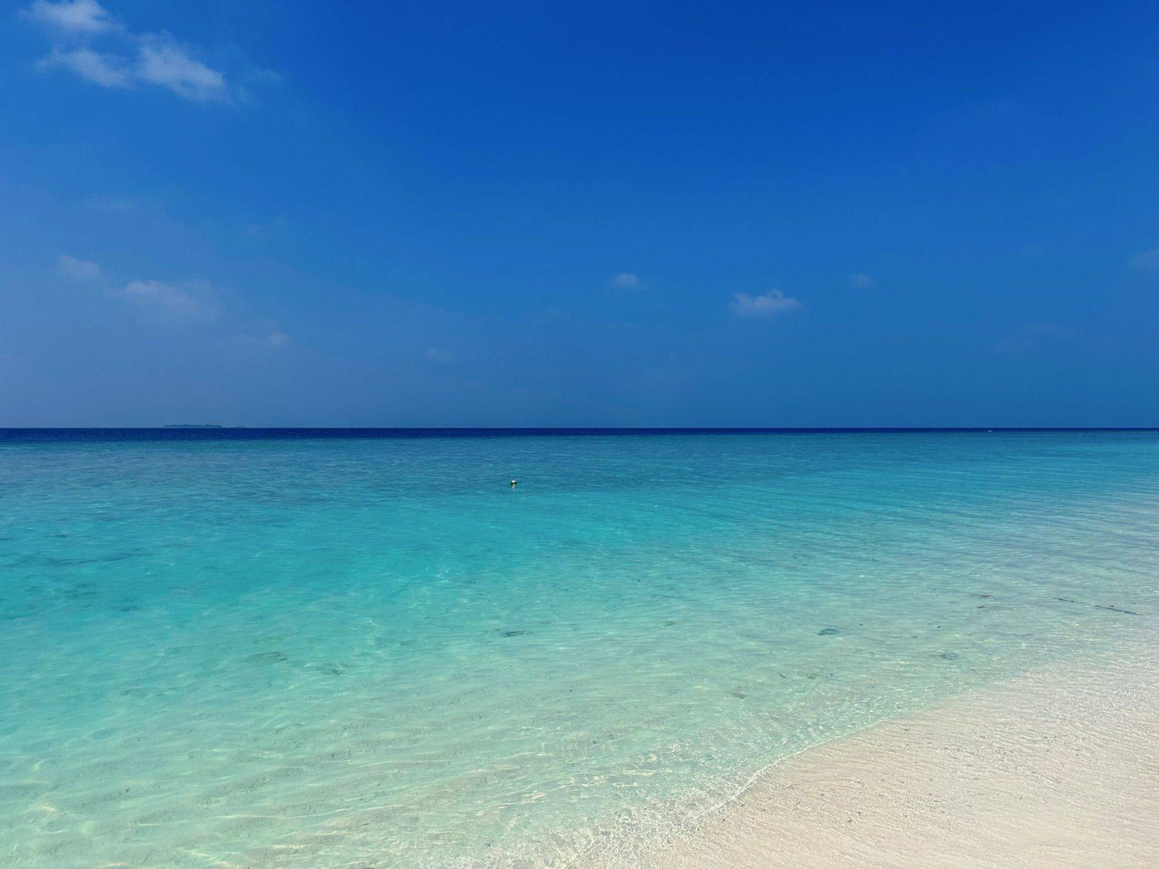 高质量室友，值得拥有_3