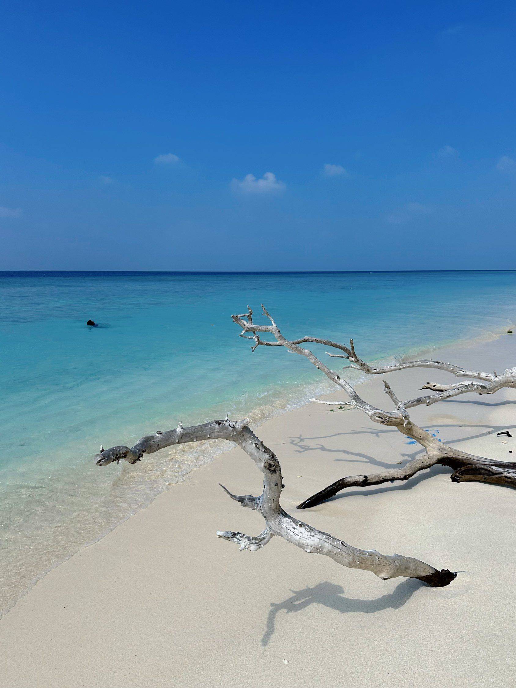 高质量室友，值得拥有_4