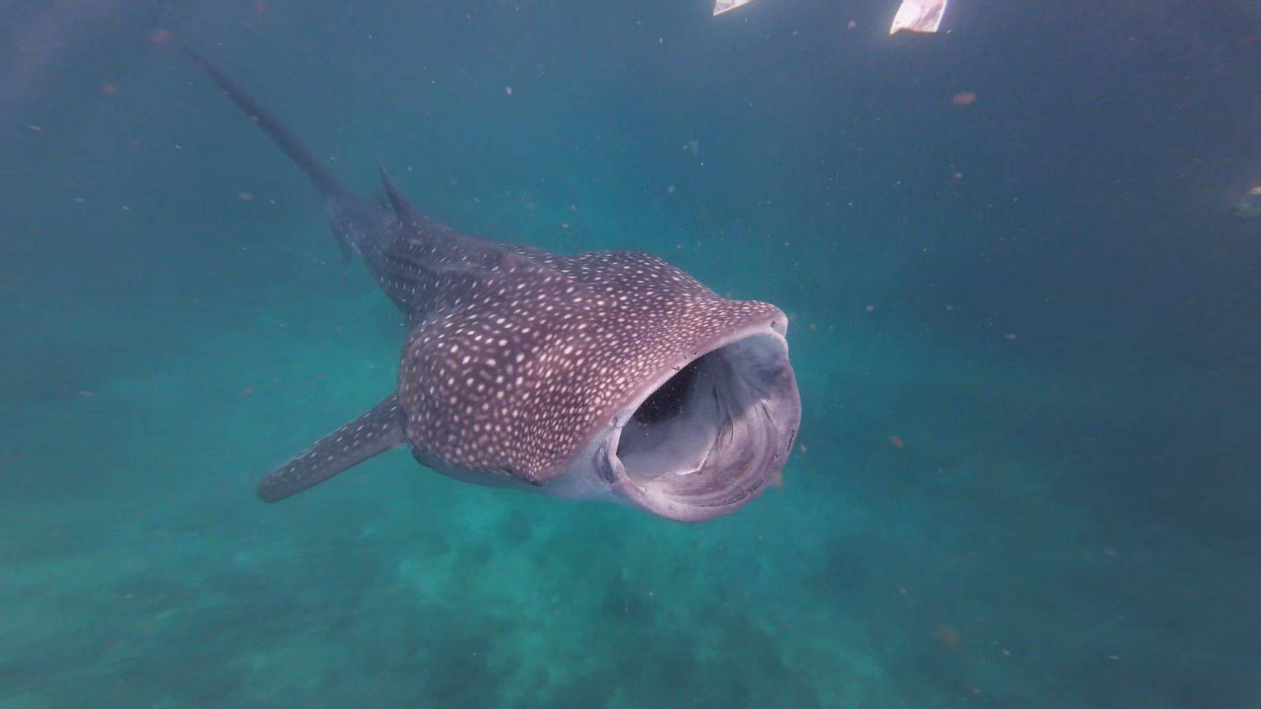 高质量室友，值得拥有_1