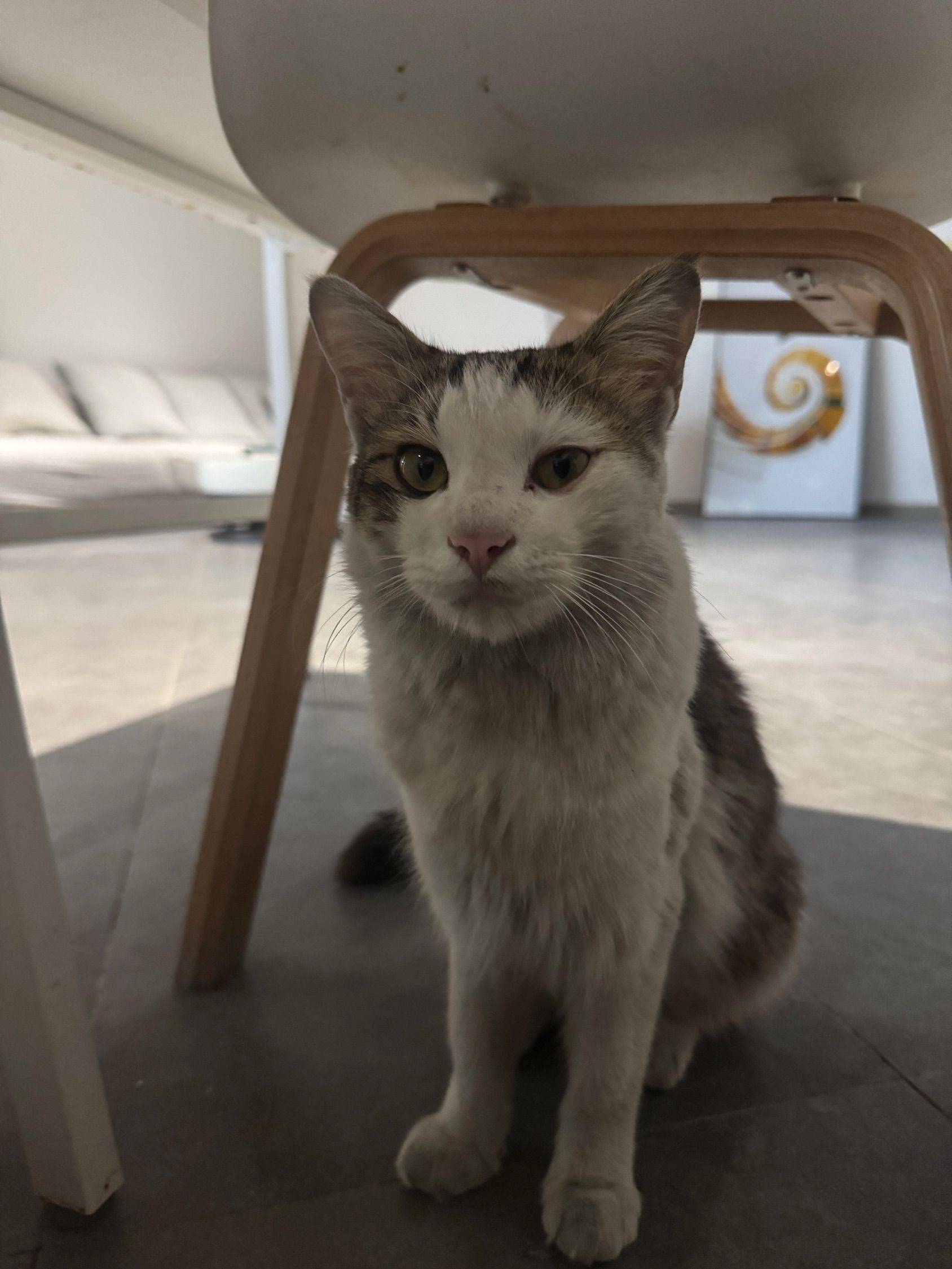 知道自己没脸见人，跑停车场后面睡觉😪 _2