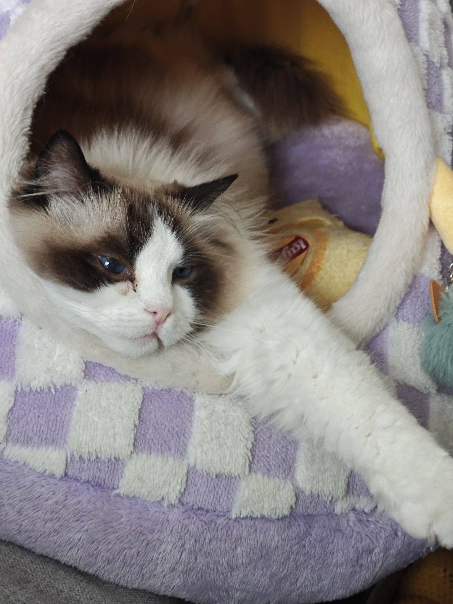 眼屎太多怎么办，求问问，维生素眼药水清洁