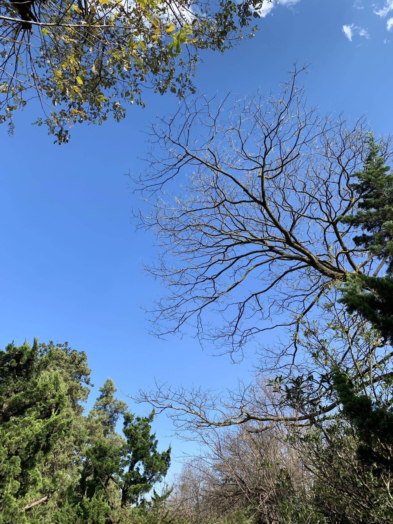 西安高新区找室友