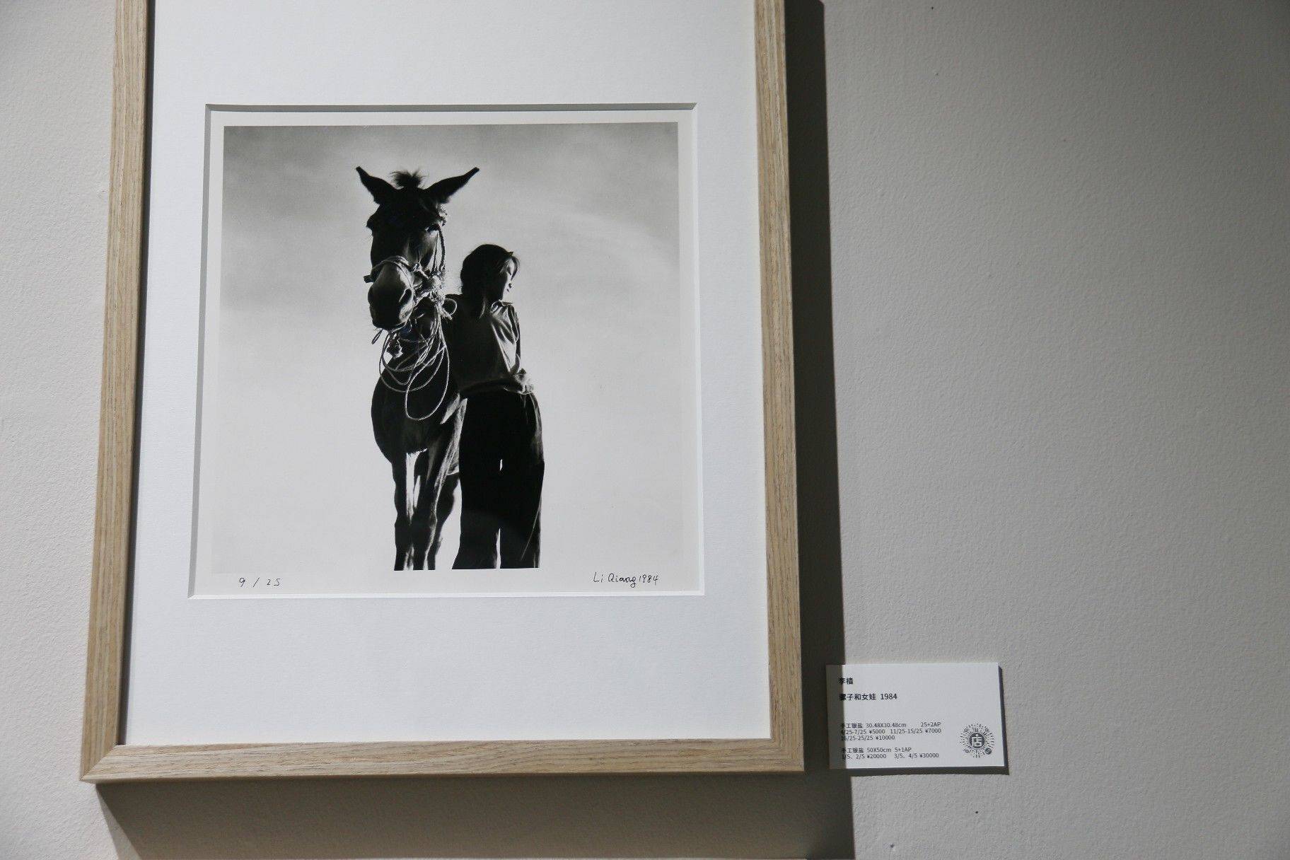 Suprimi追思骑行｜苏河四行仓库»千树»M50_2