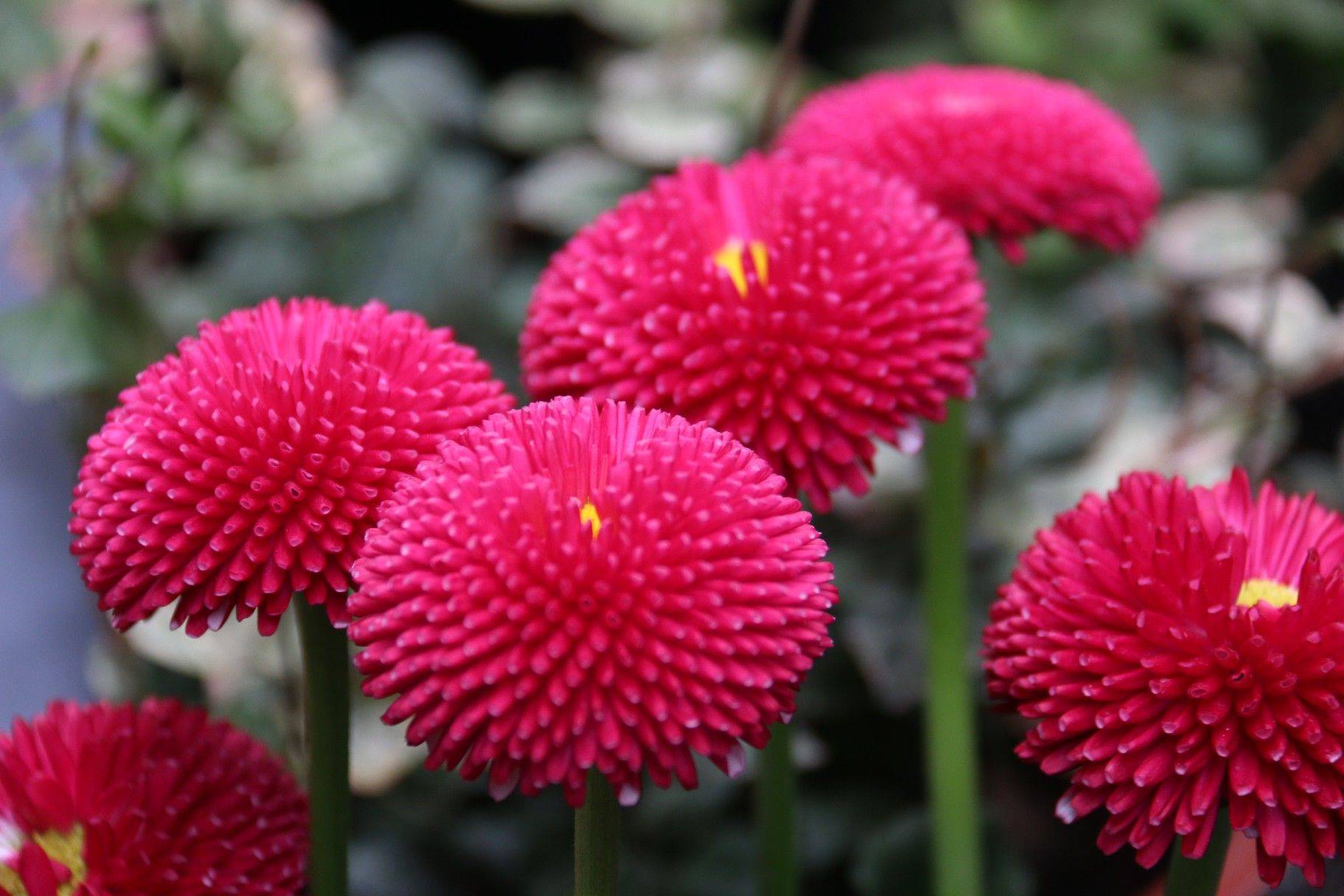 Suprimi追思骑行｜苏河四行仓库»千树»M50_4