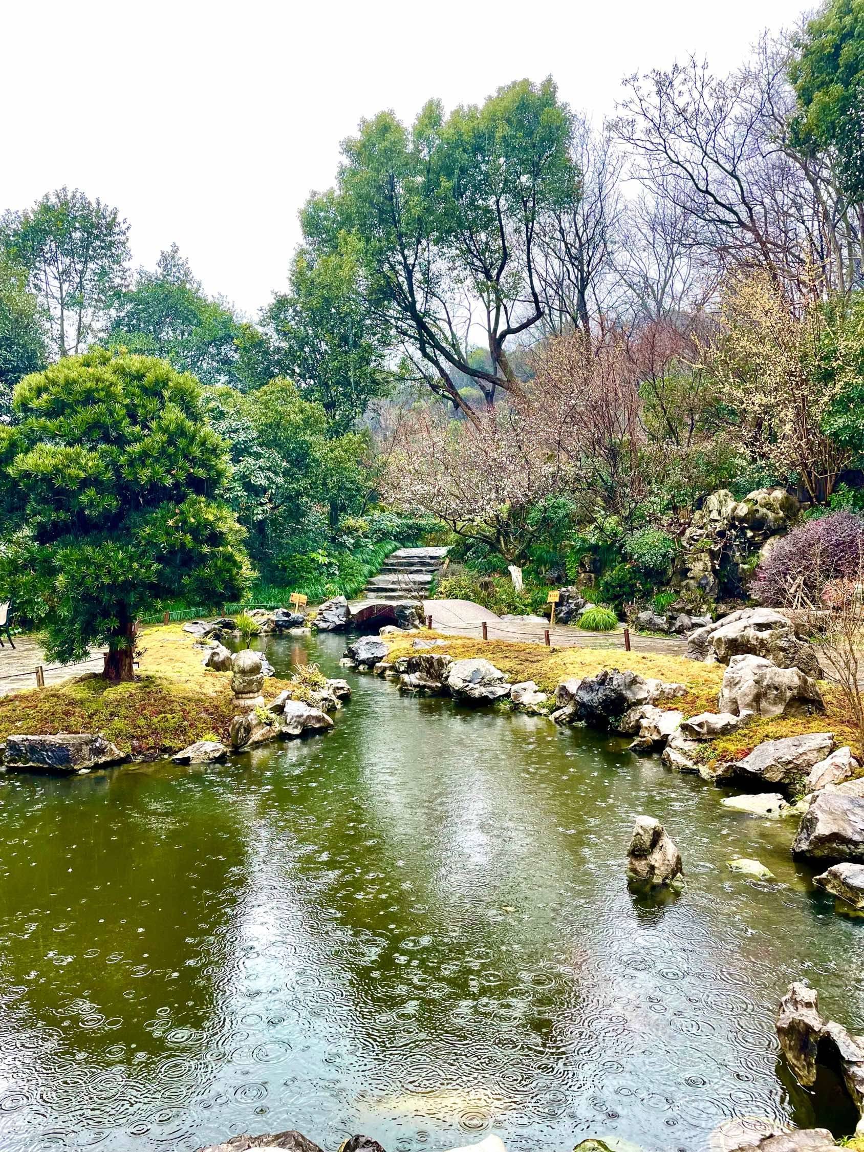 烟雨江南，非常美 漫步大自然  雨中