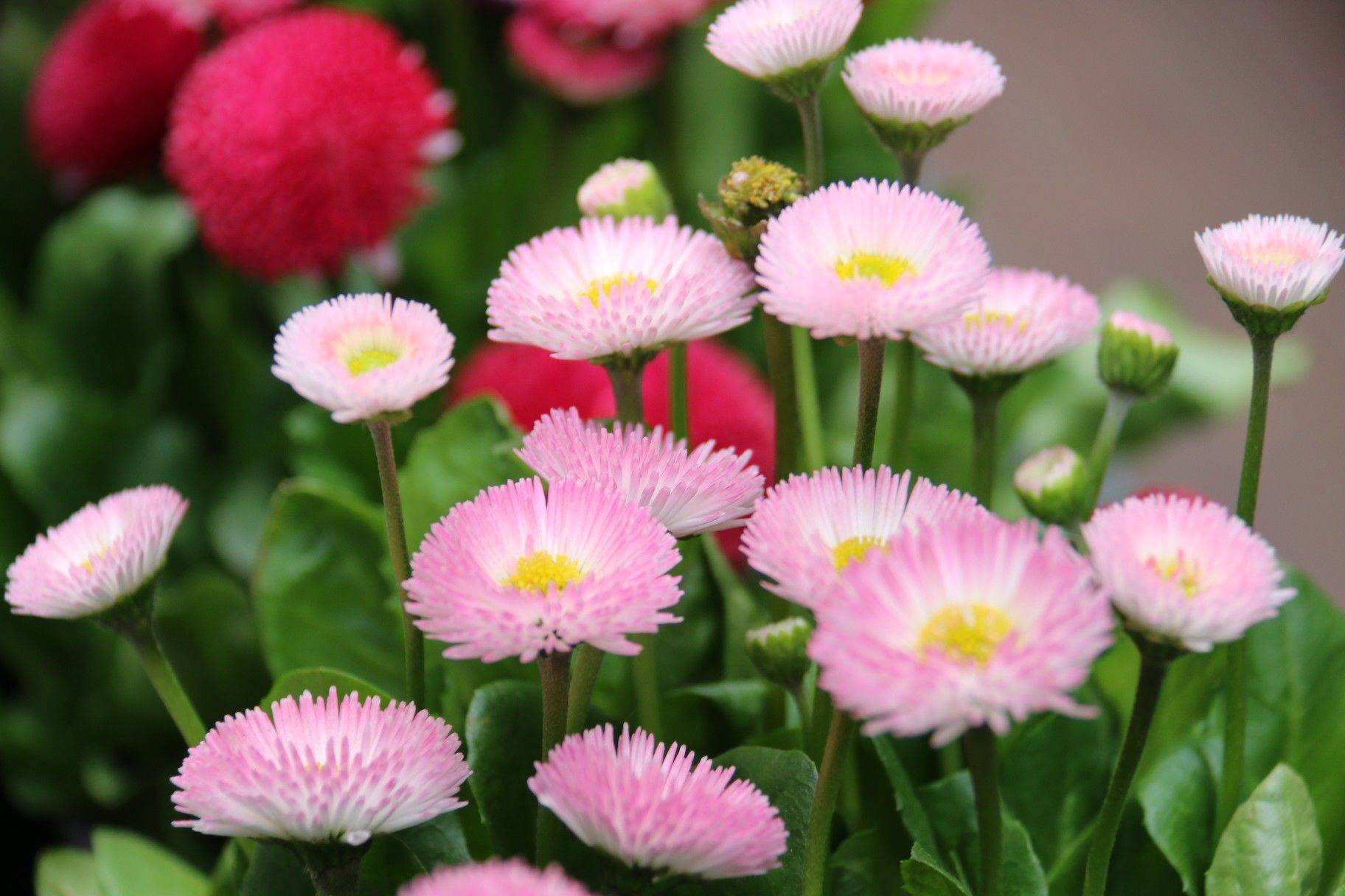 Suprimi追思骑行｜苏河四行仓库»千树»M50_3