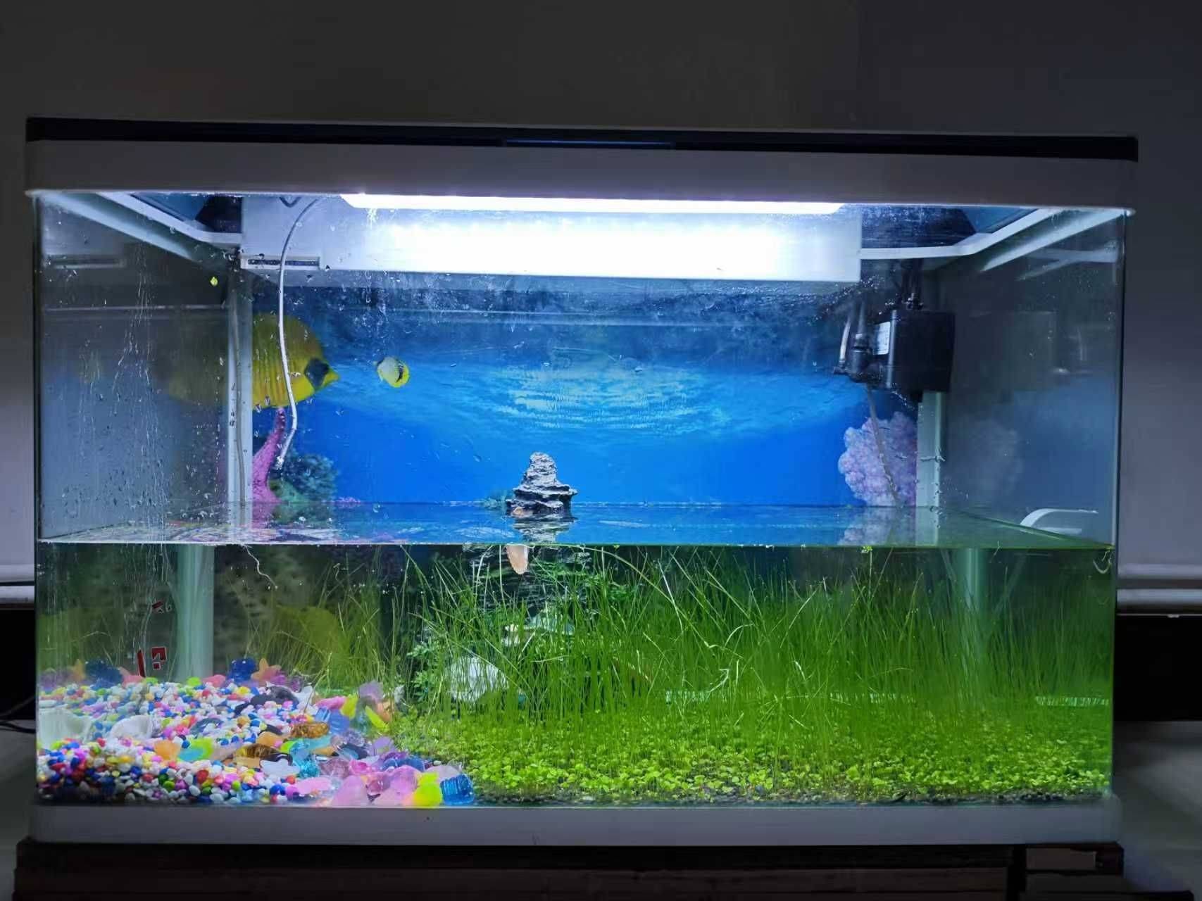 温馨舒适的小家。长安广场兴龙花园。