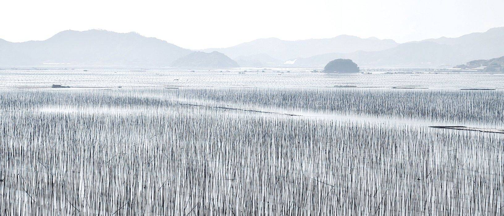 很久没有你的消息了_1