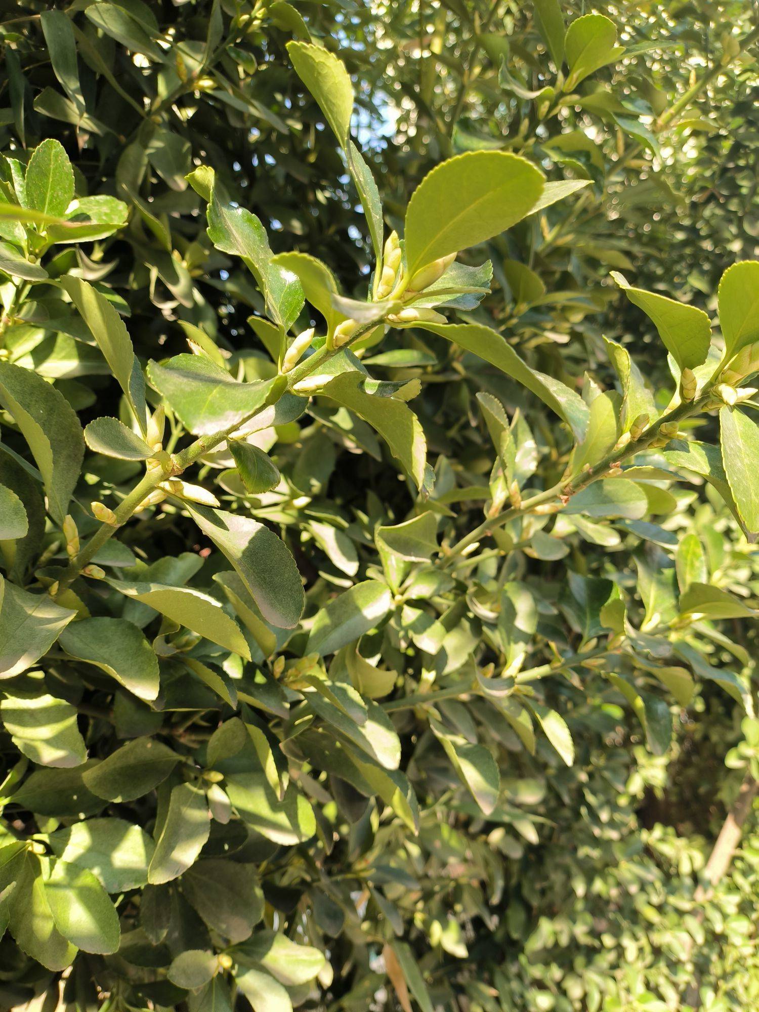 流年无声，阳光正好！_3