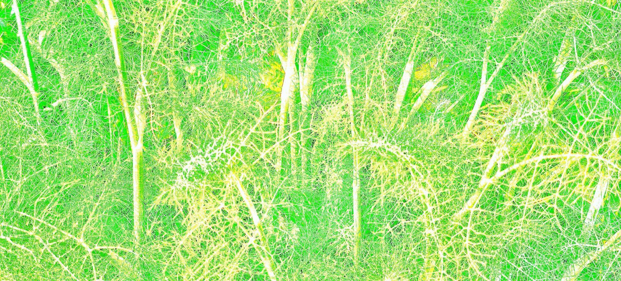 很久没有你的消息了_4