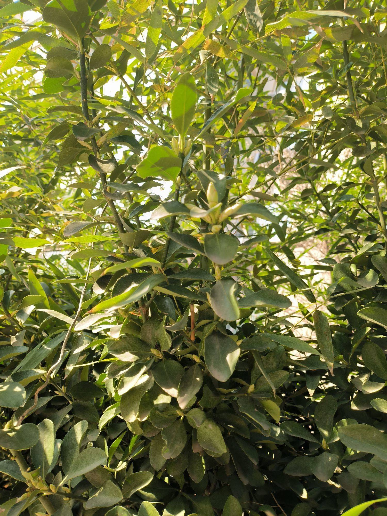 流年无声，阳光正好！