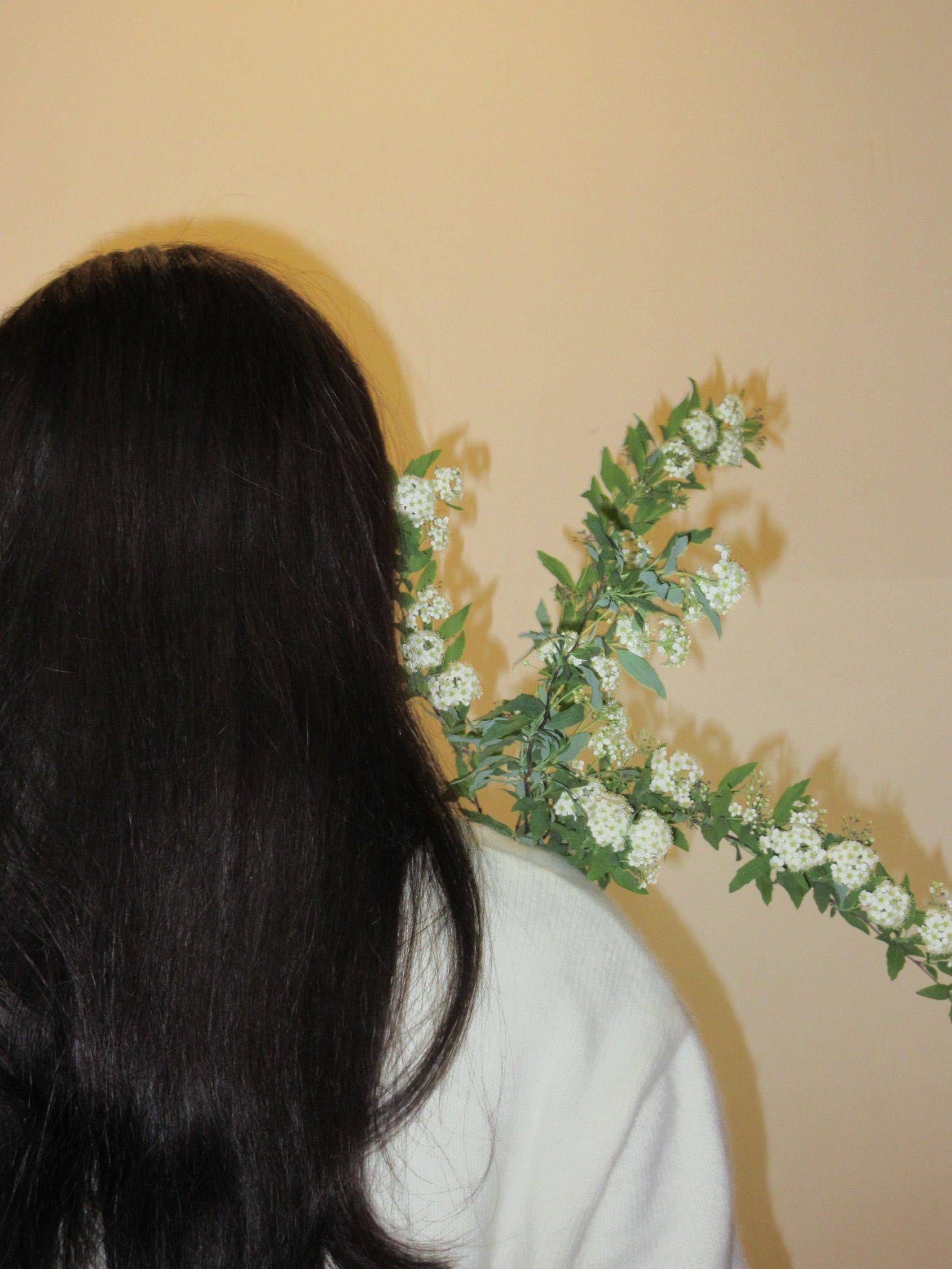 是关于小手球的春天