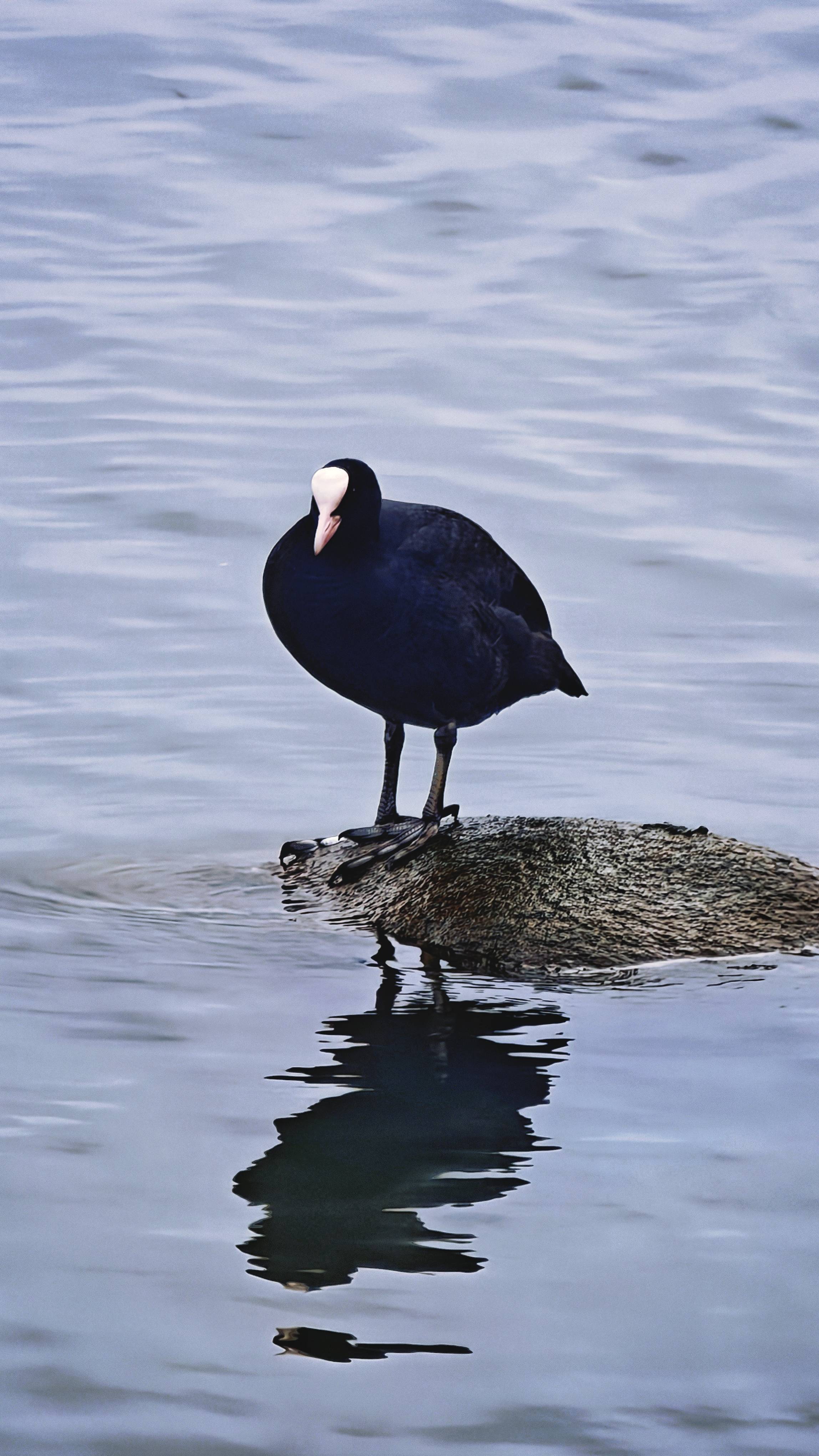 苏州的前世今生_1