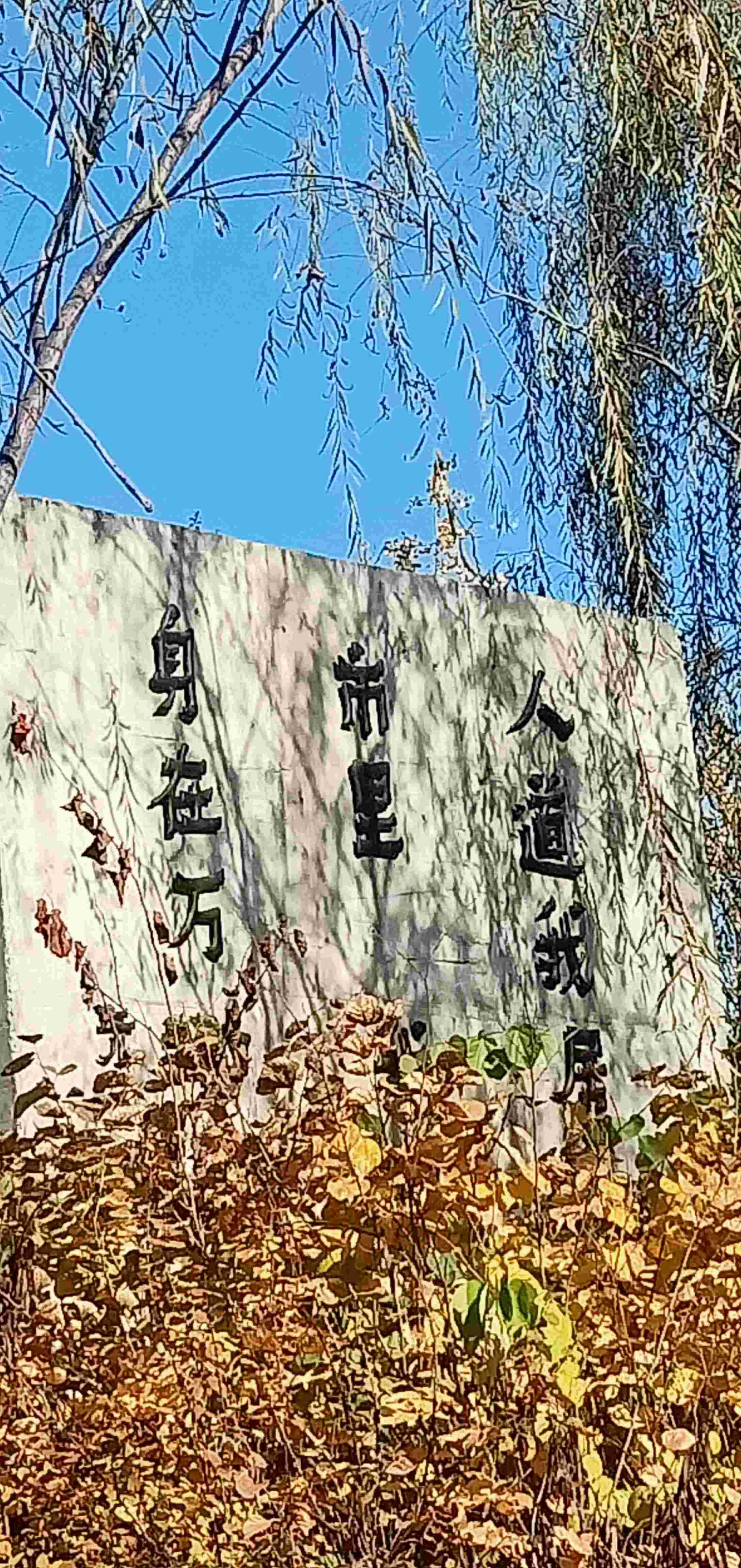 环保嘉苑有多美_1