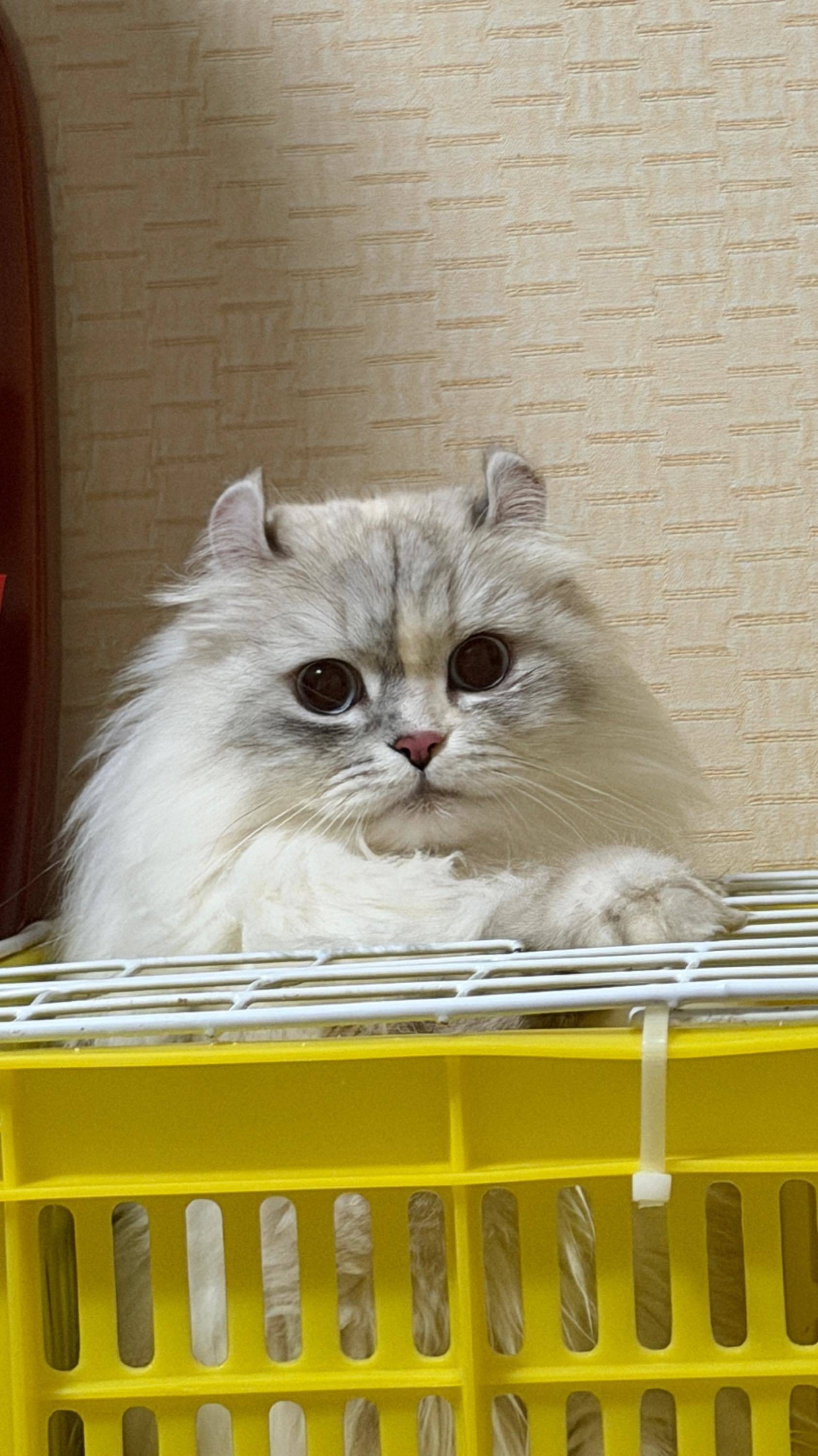 坐标西安，找房搭子_1