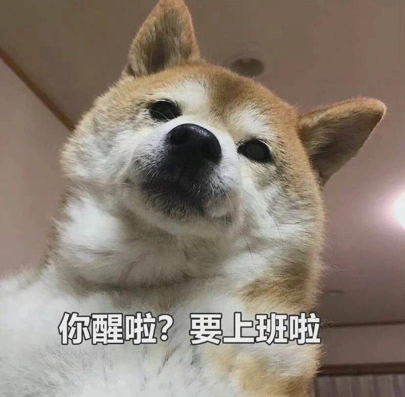 上海浦东找室友 共居大别野