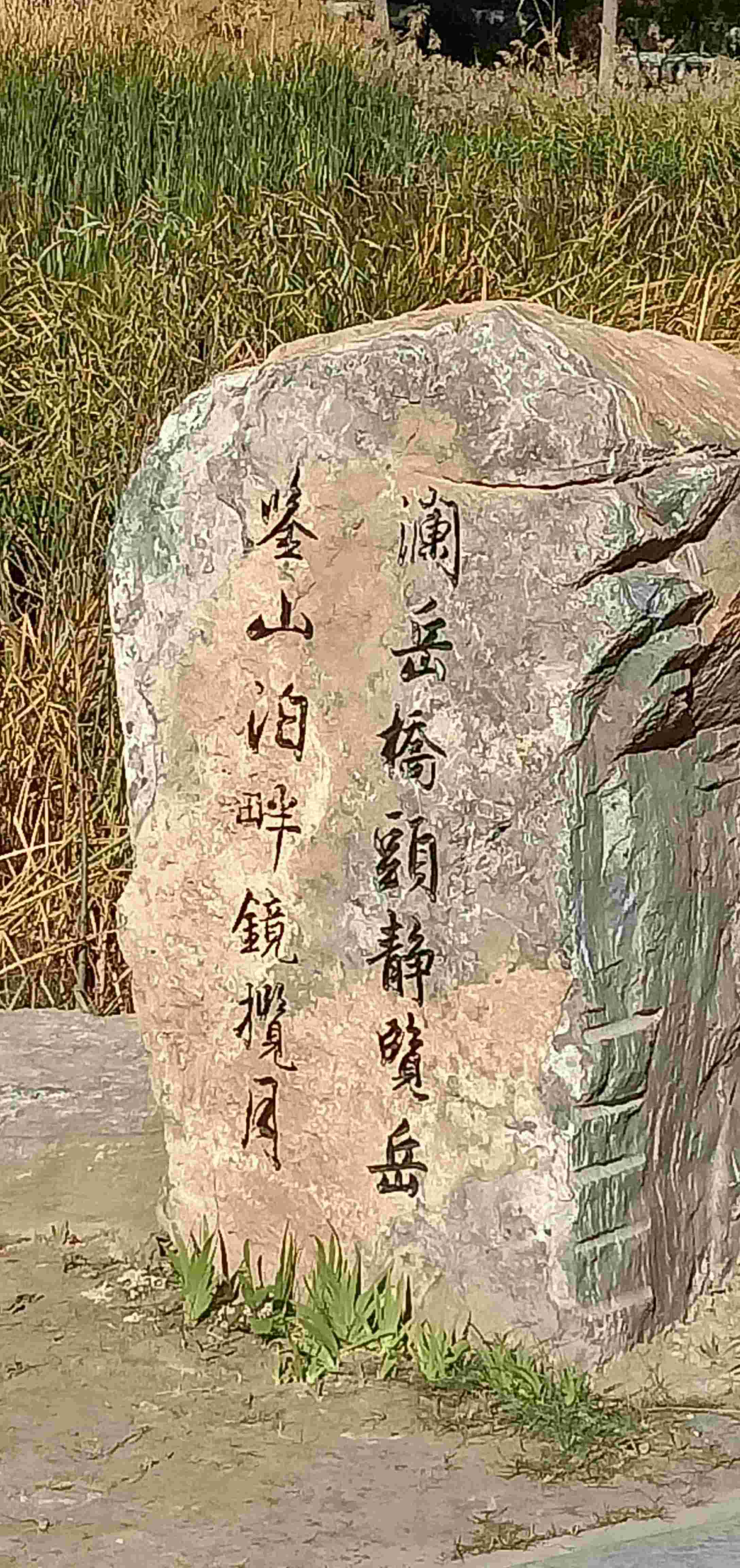 环保嘉苑有多美_3