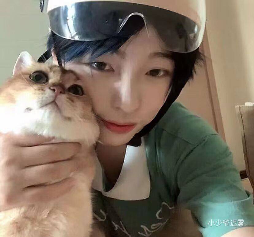 现在养猫租不到房子了吗_0