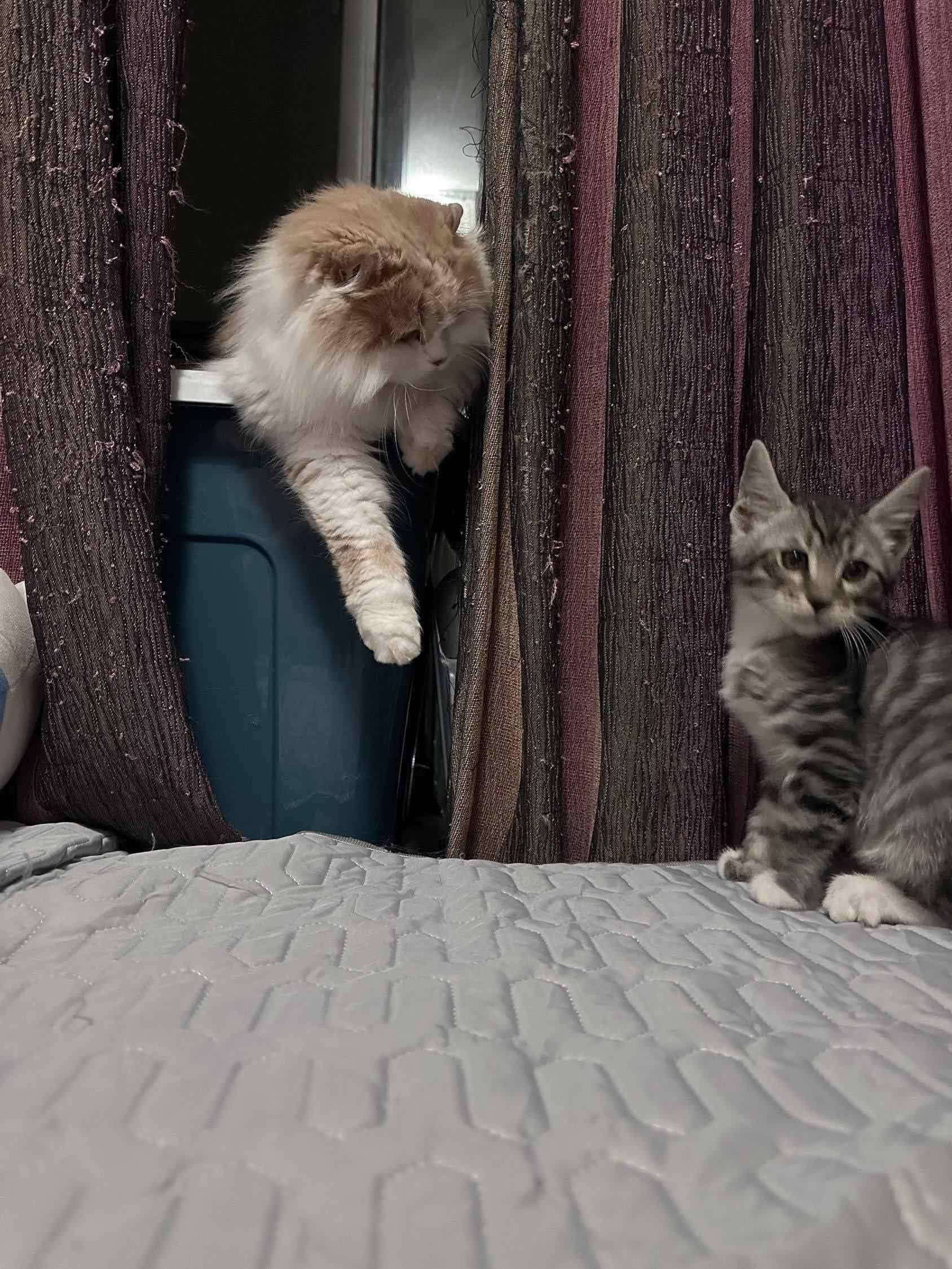 蹲室友，通勤国贸_3