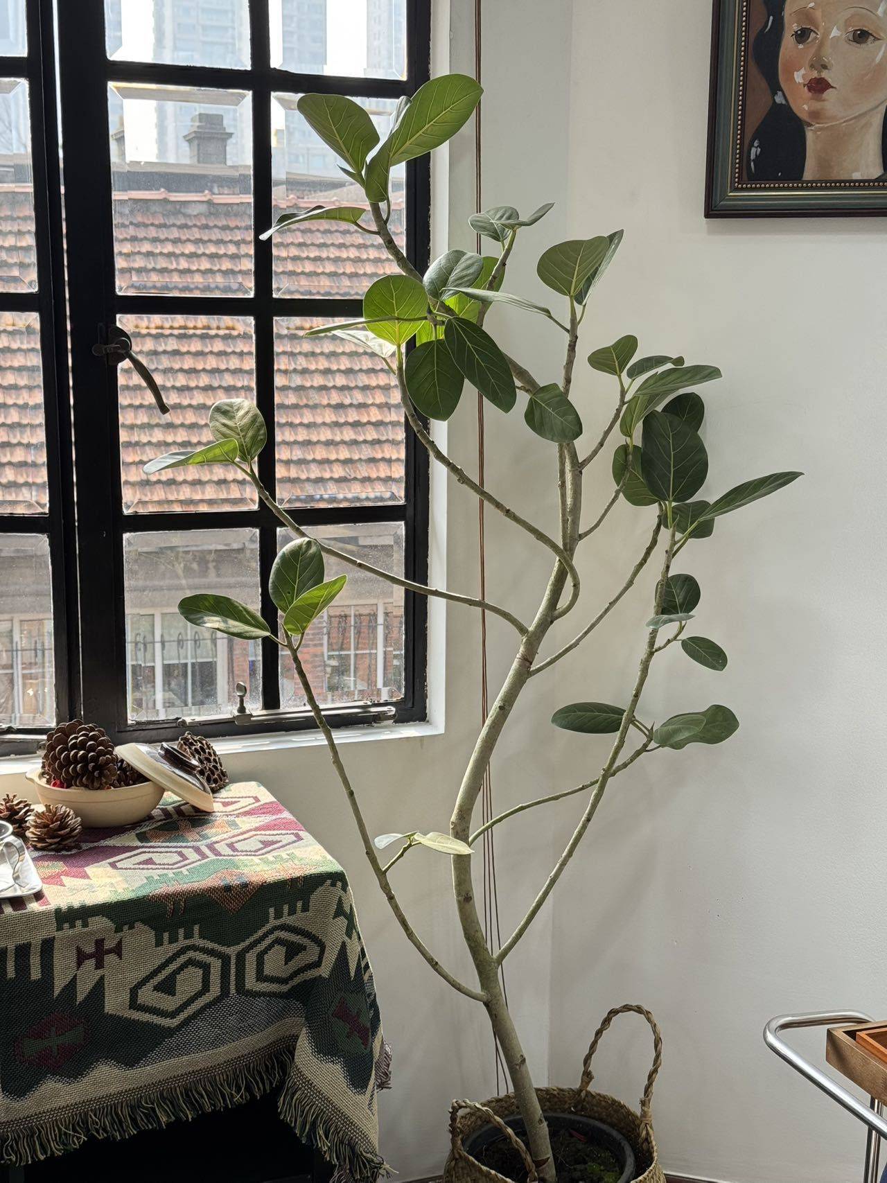 hi 我们是Lumii画室！_4