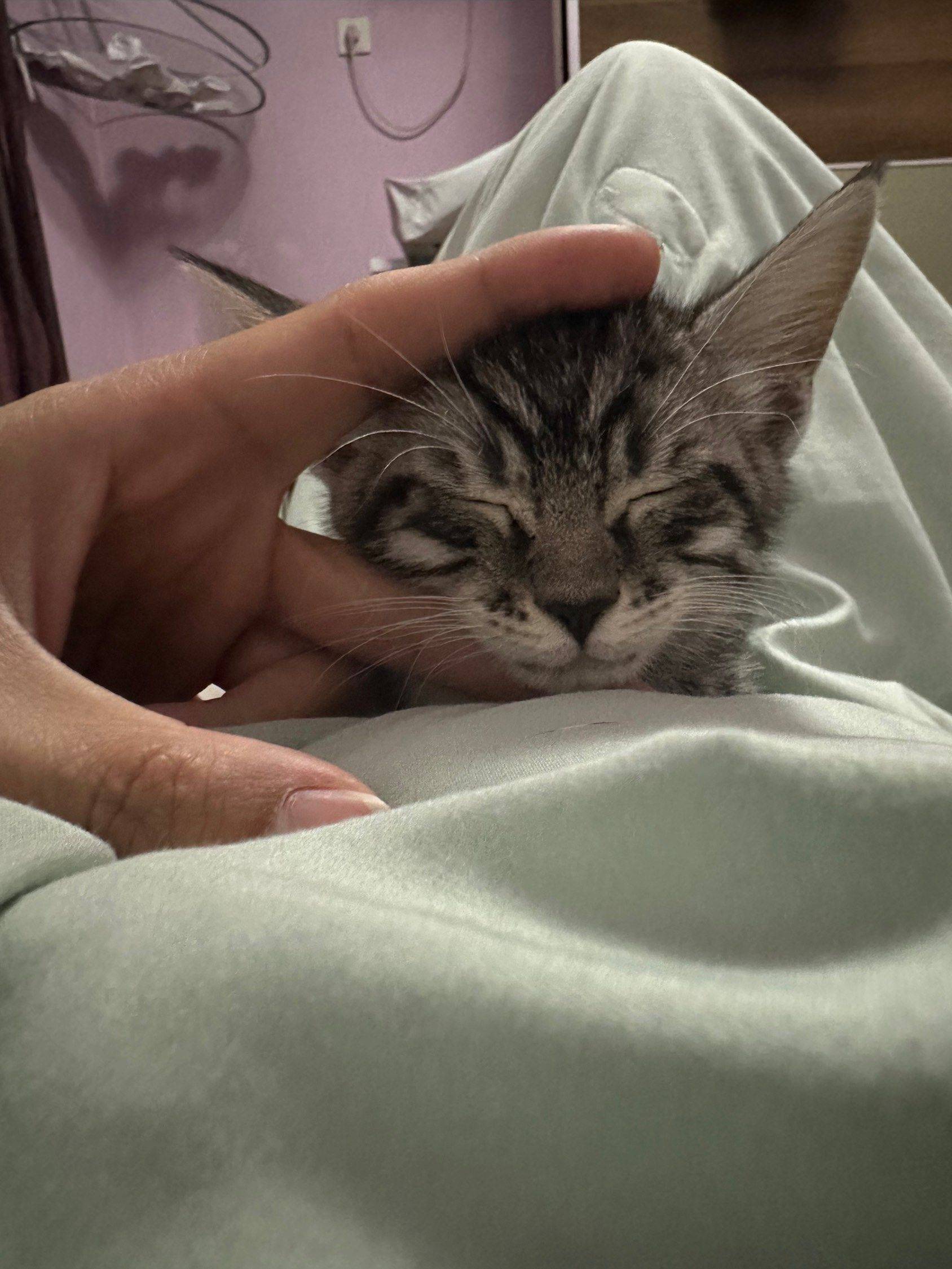 蹲室友，通勤国贸_0