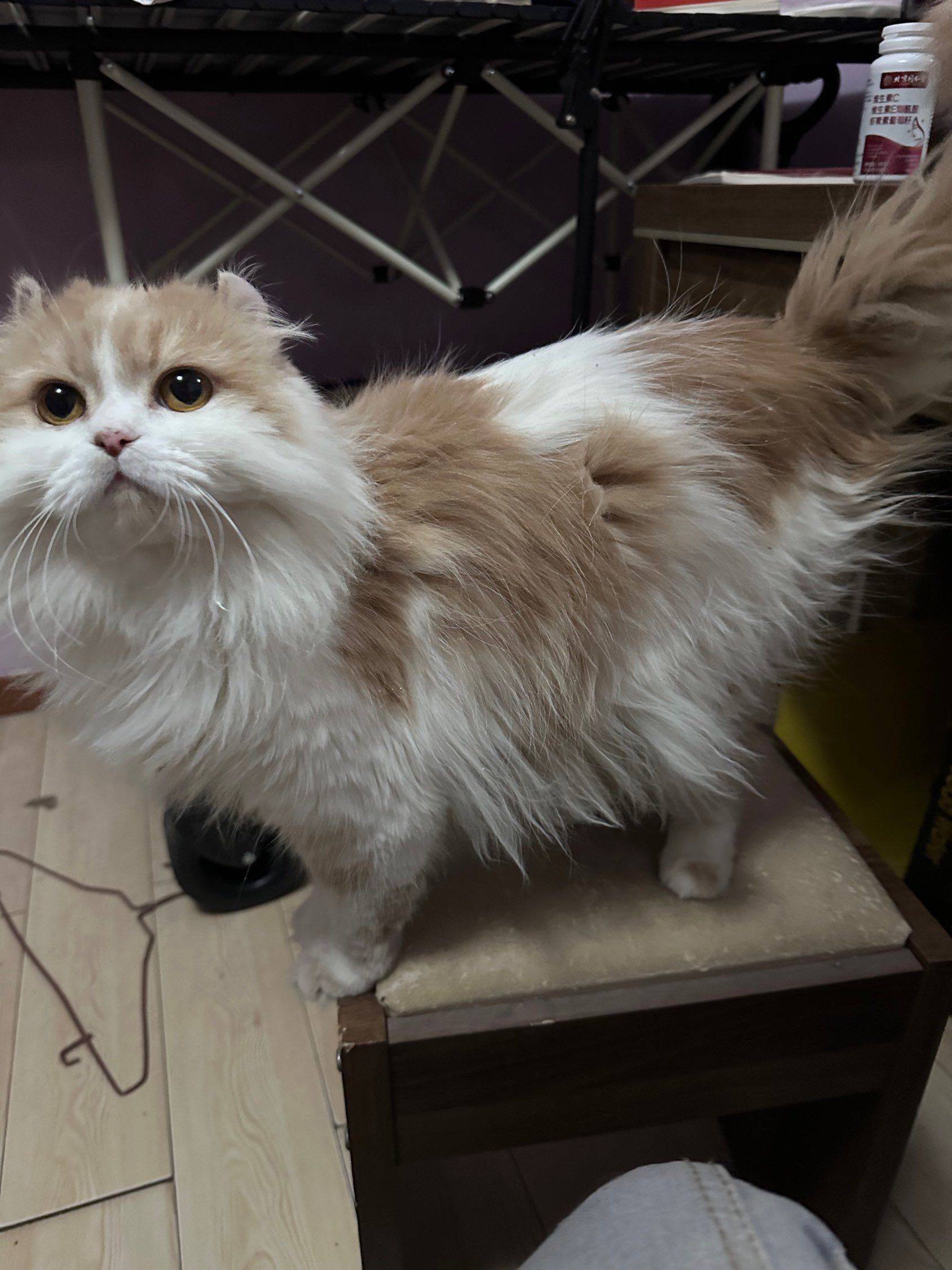 蹲室友，通勤国贸_2